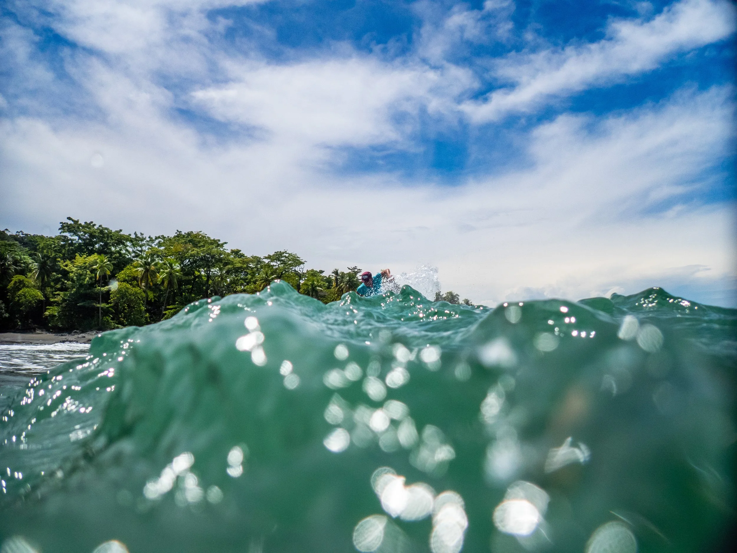Ocean with green waves, a shoreline with palm trees, and a blue sky with some clouds.
