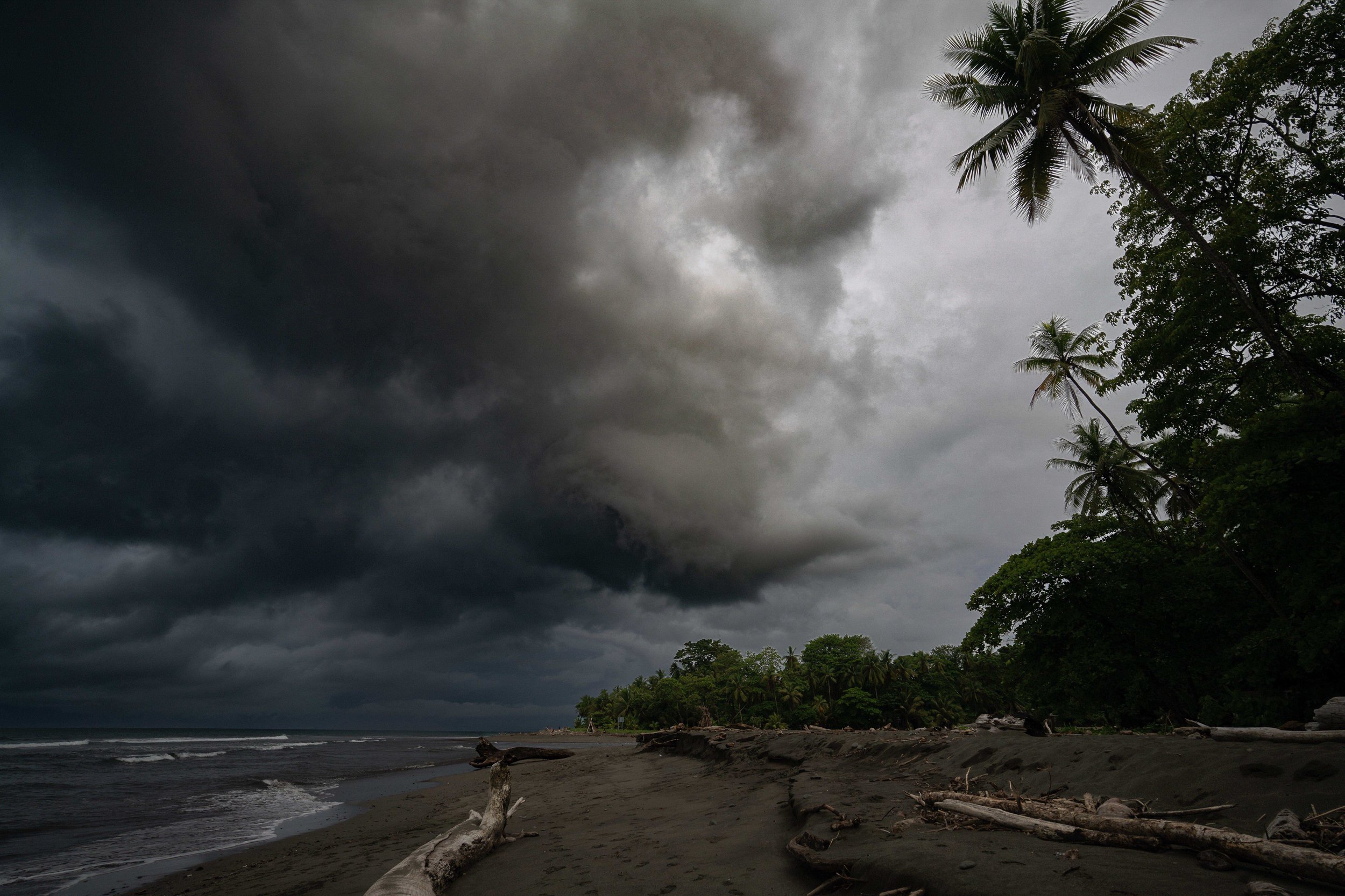 Dark stormy clouds over a tropical beach with palm trees and driftwood on the shore.