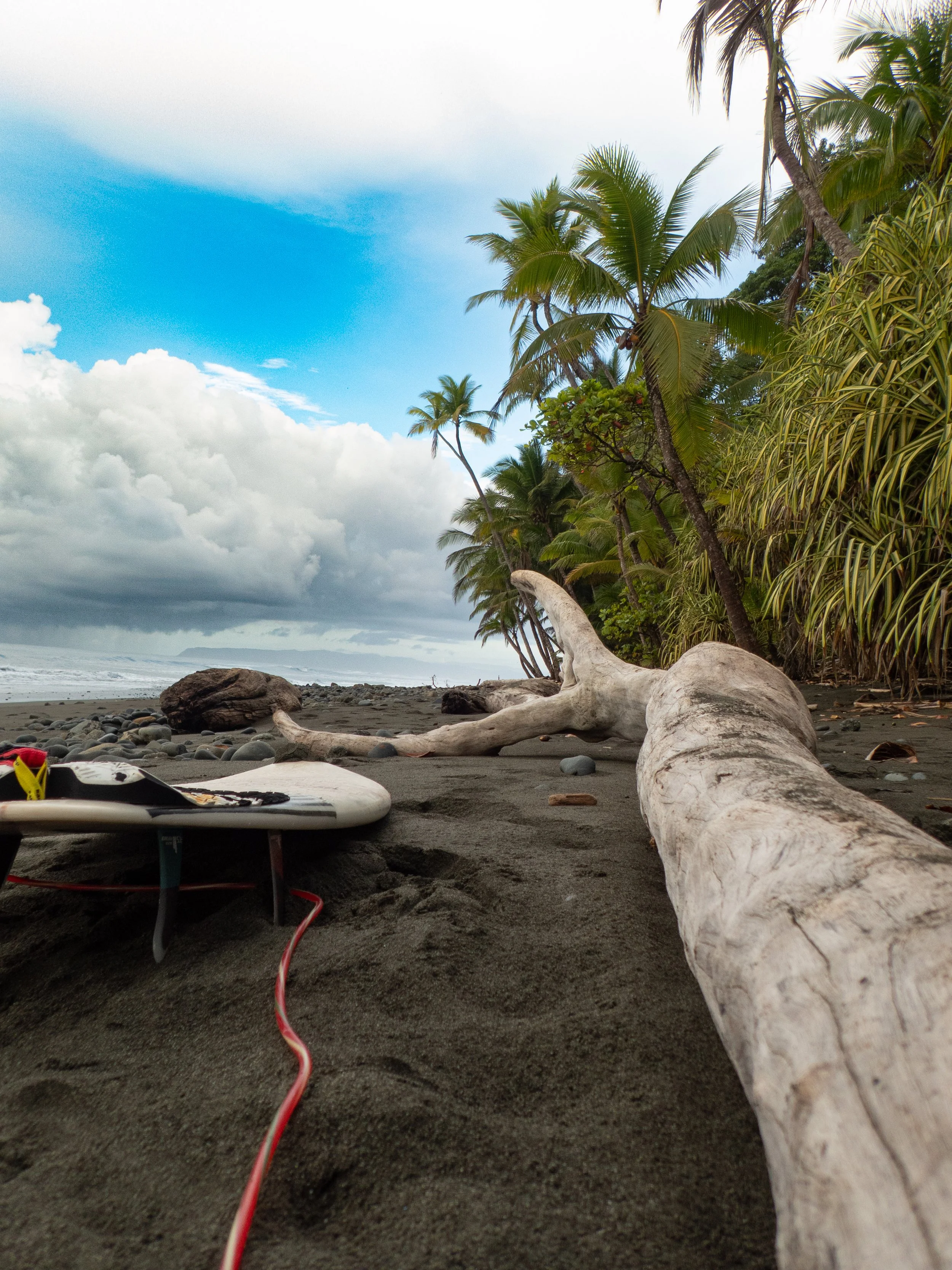A sandy beach with a large piece of driftwood, surrounded by rocks, with green palm trees and plants along the shoreline, and a cloudy sky over the ocean in the distance.