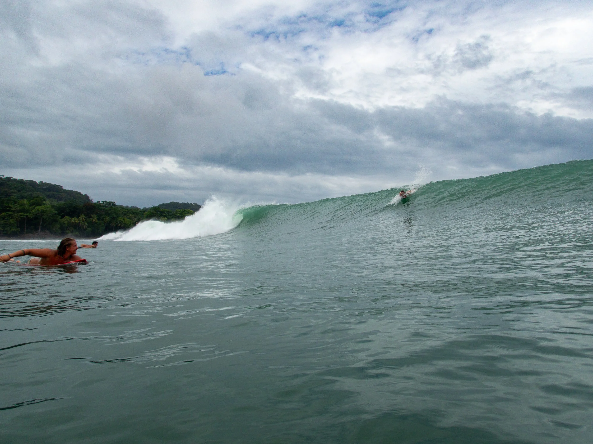Two surfers in the ocean, one approaching a large wave, tropical trees in background