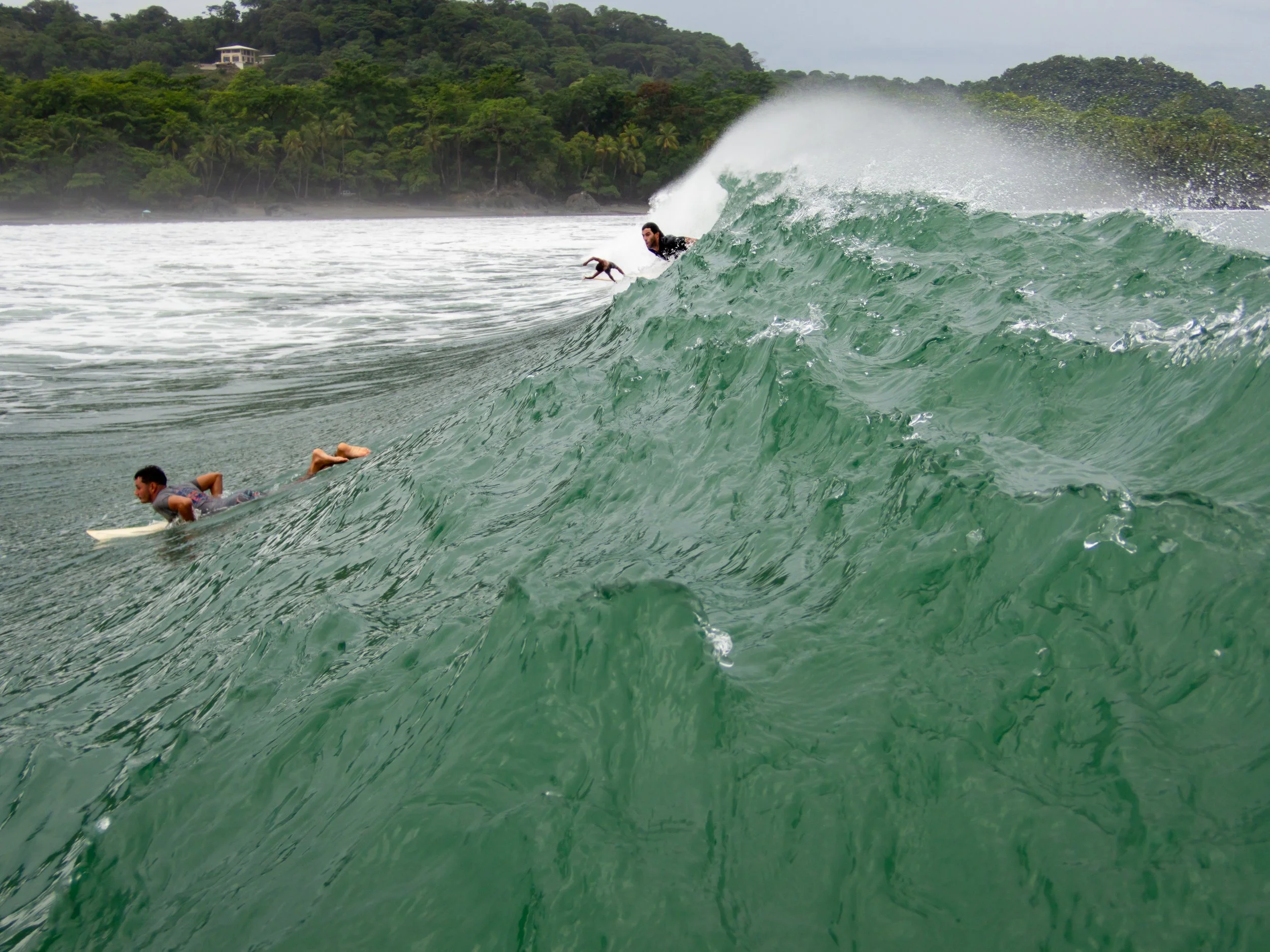Two surfers on a large wave near a lush, green coastline