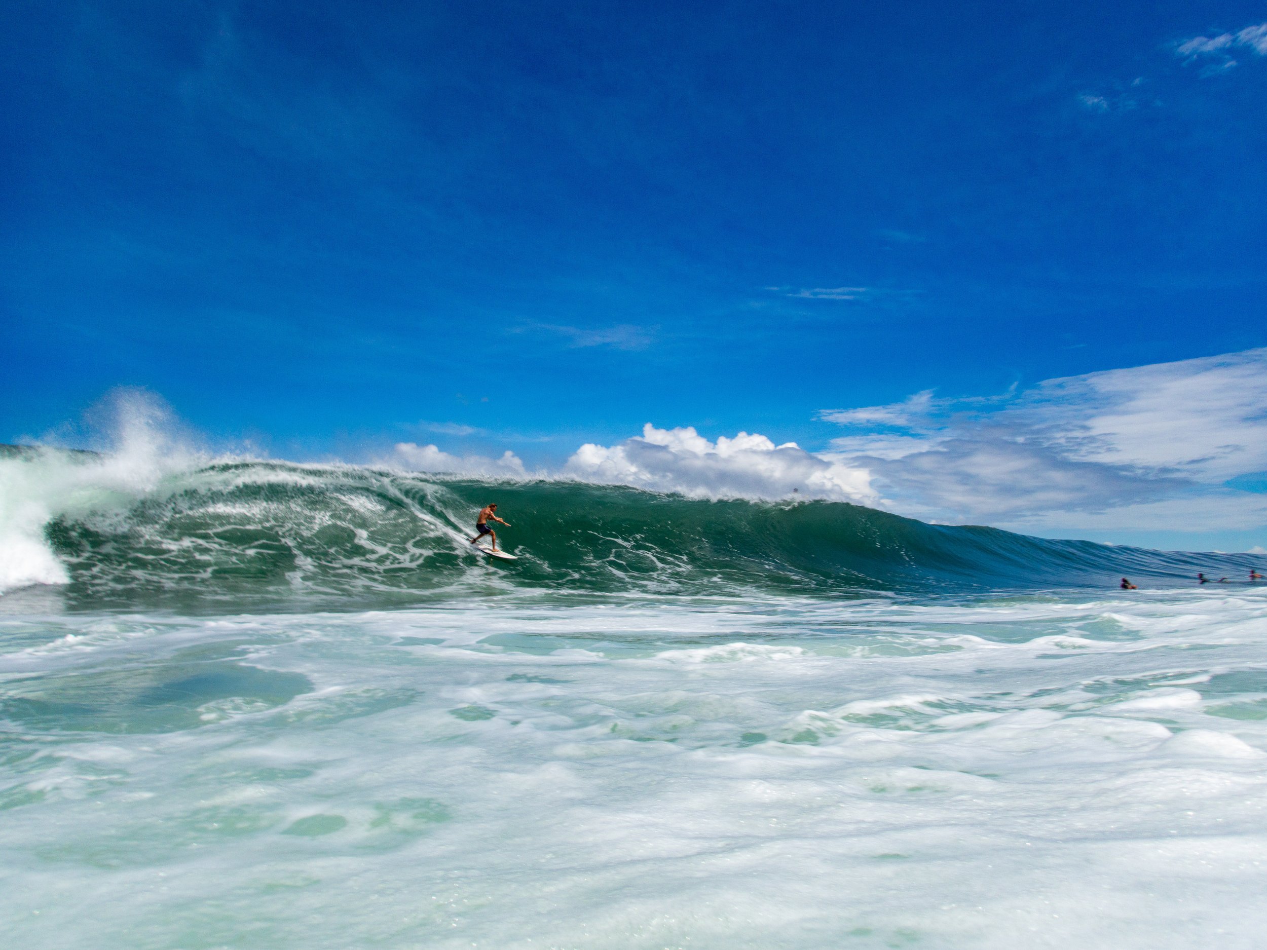 Surfer riding a large wave with a clear blue sky in the background.