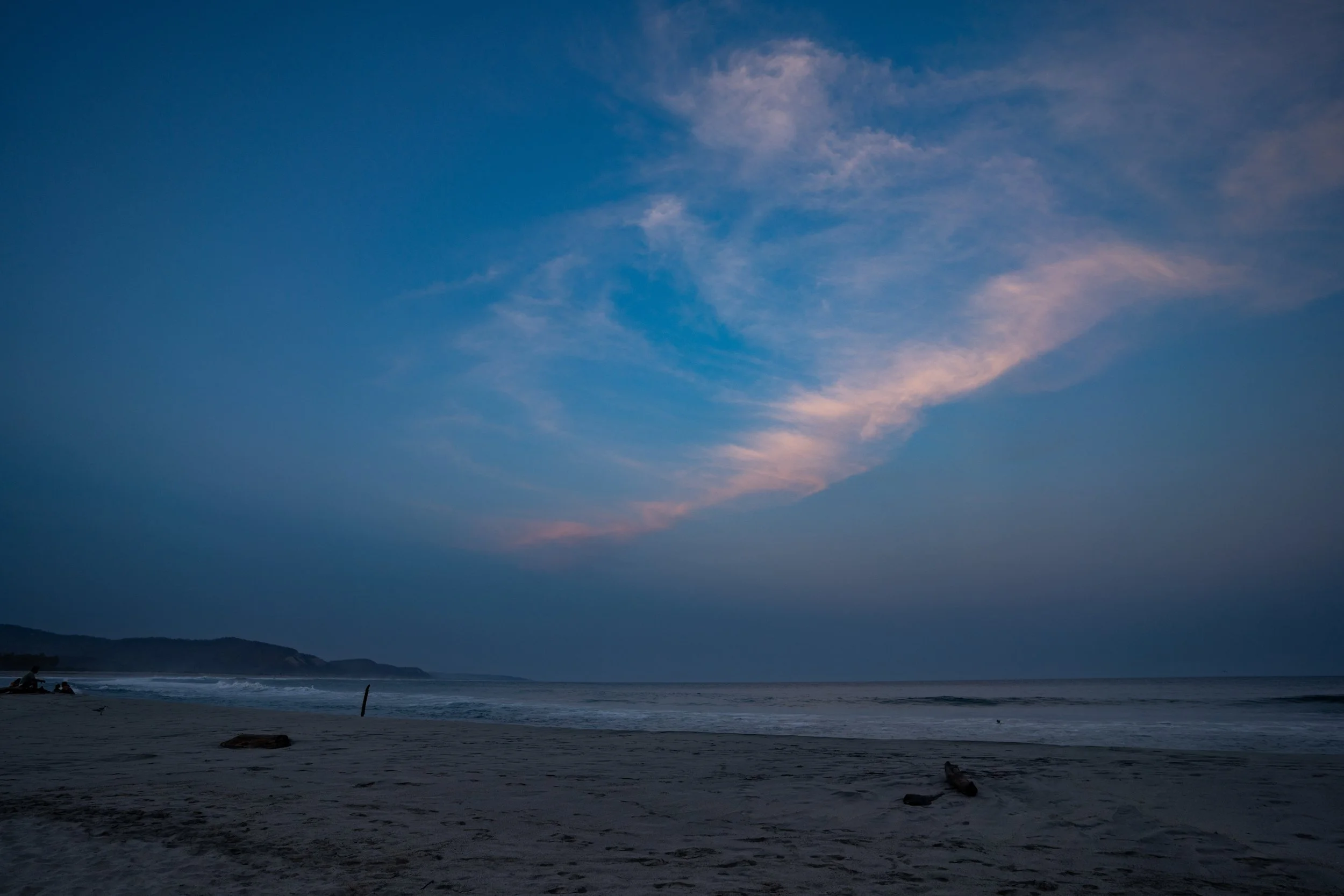 DSC08336.jpg