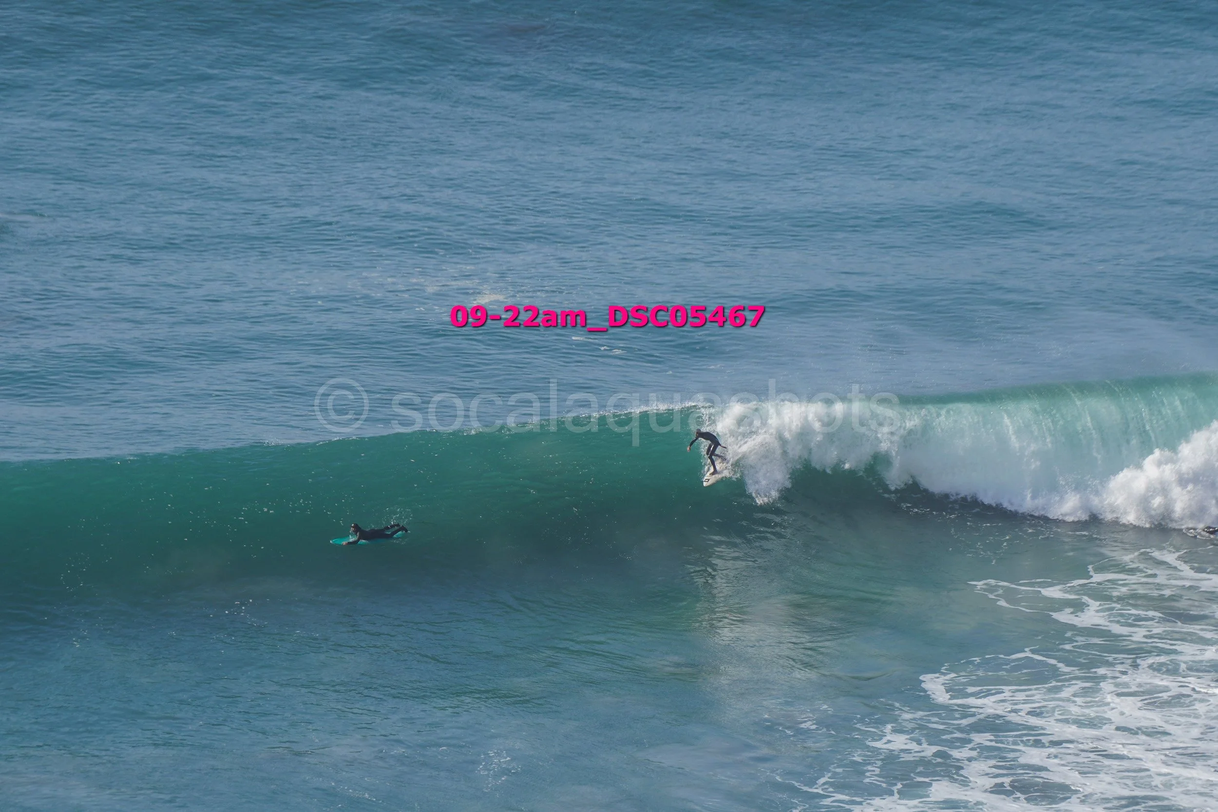 Two surfers in wetsuits riding waves in the ocean, one standing on a surfboard on a wave and the other lying on a surfboard paddling through the water.