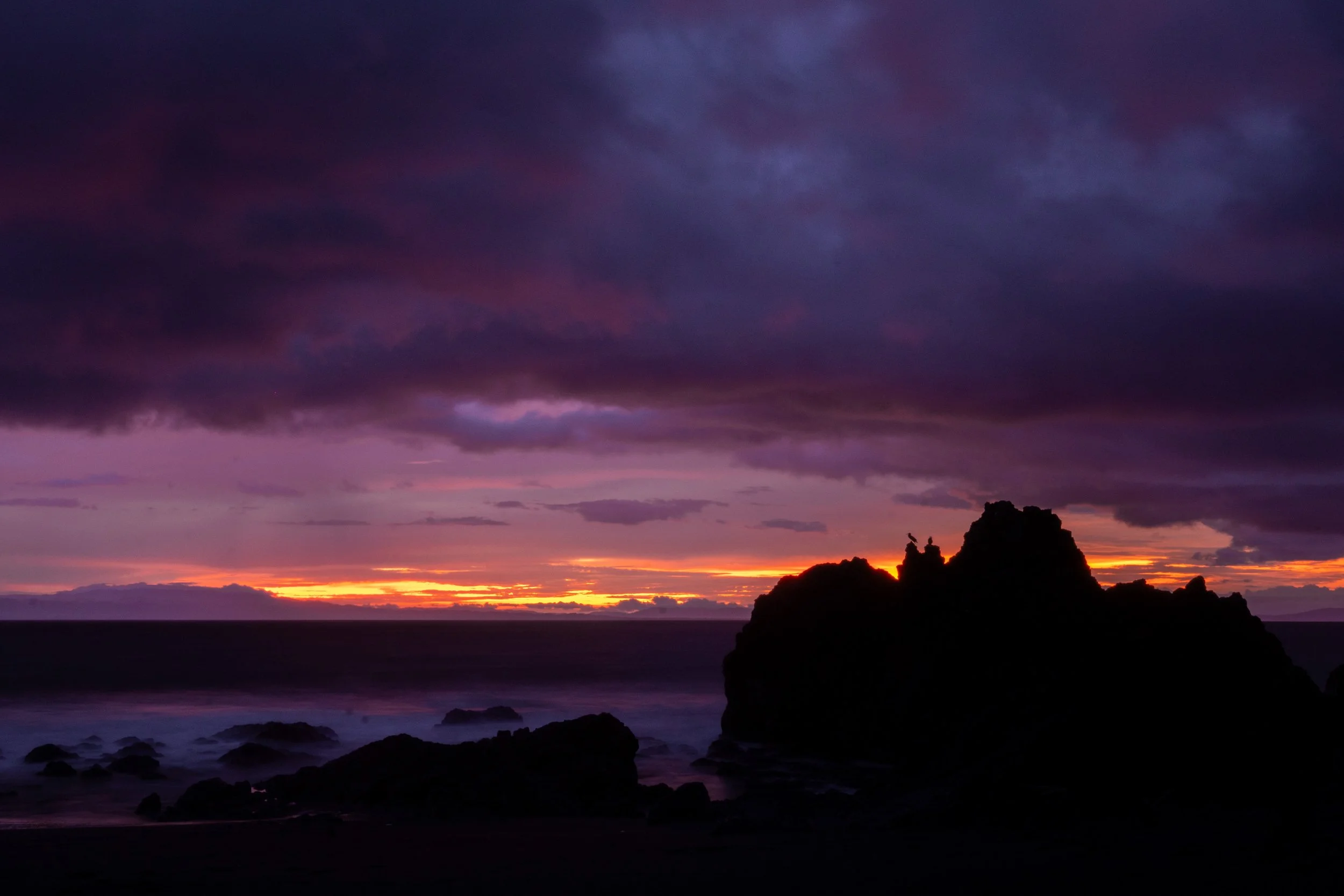 DSC09177.jpg