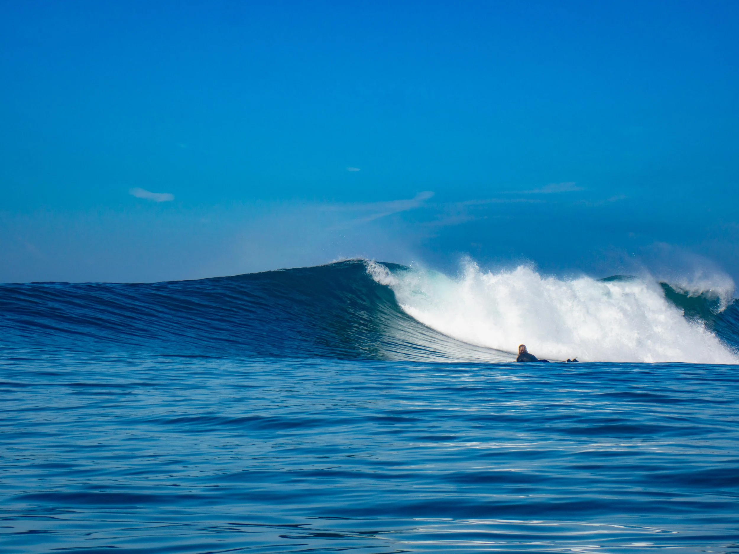 A person on a surfboard riding a large ocean wave under a clear blue sky.