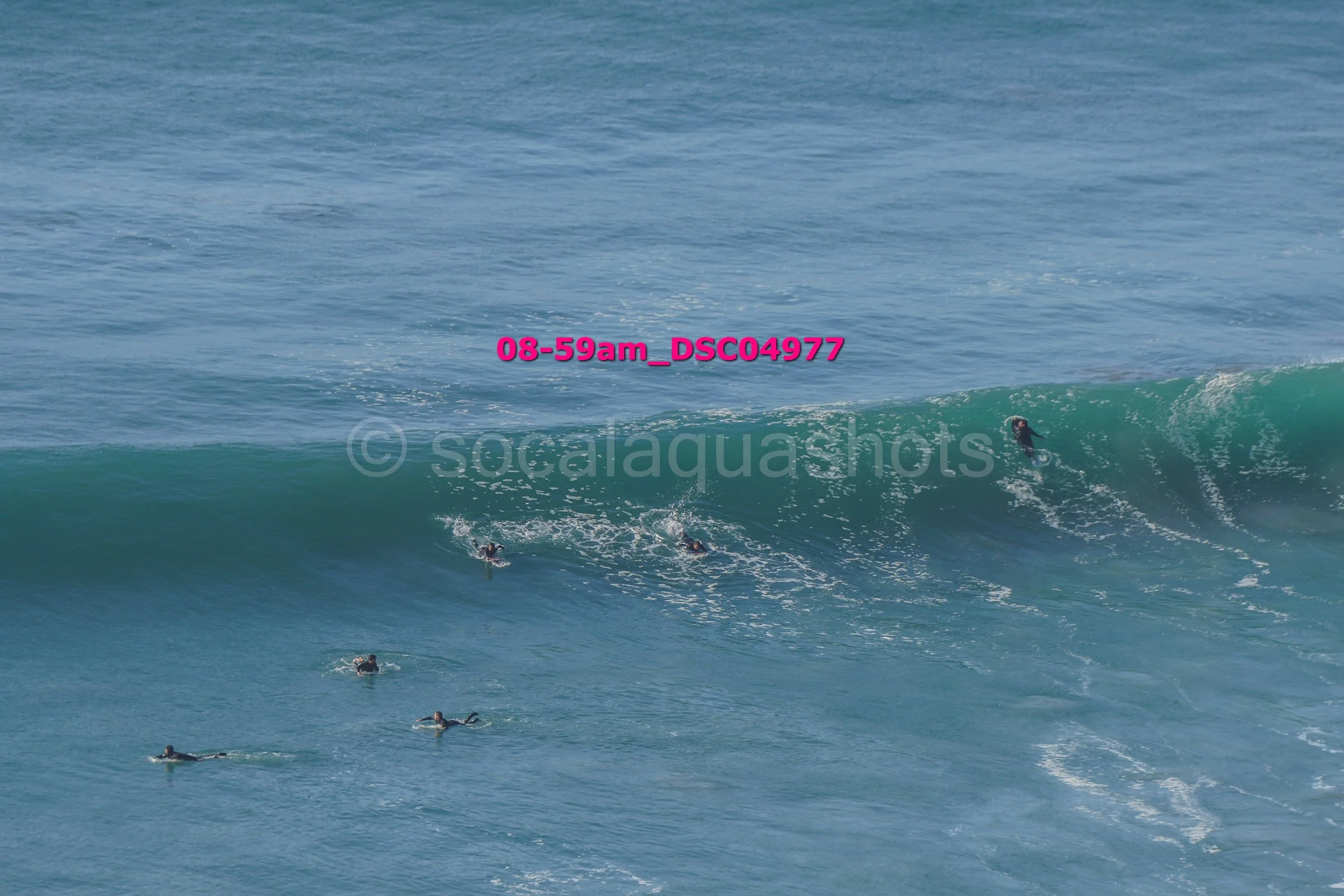 Several surfers riding and paddling on large ocean waves in the sea.