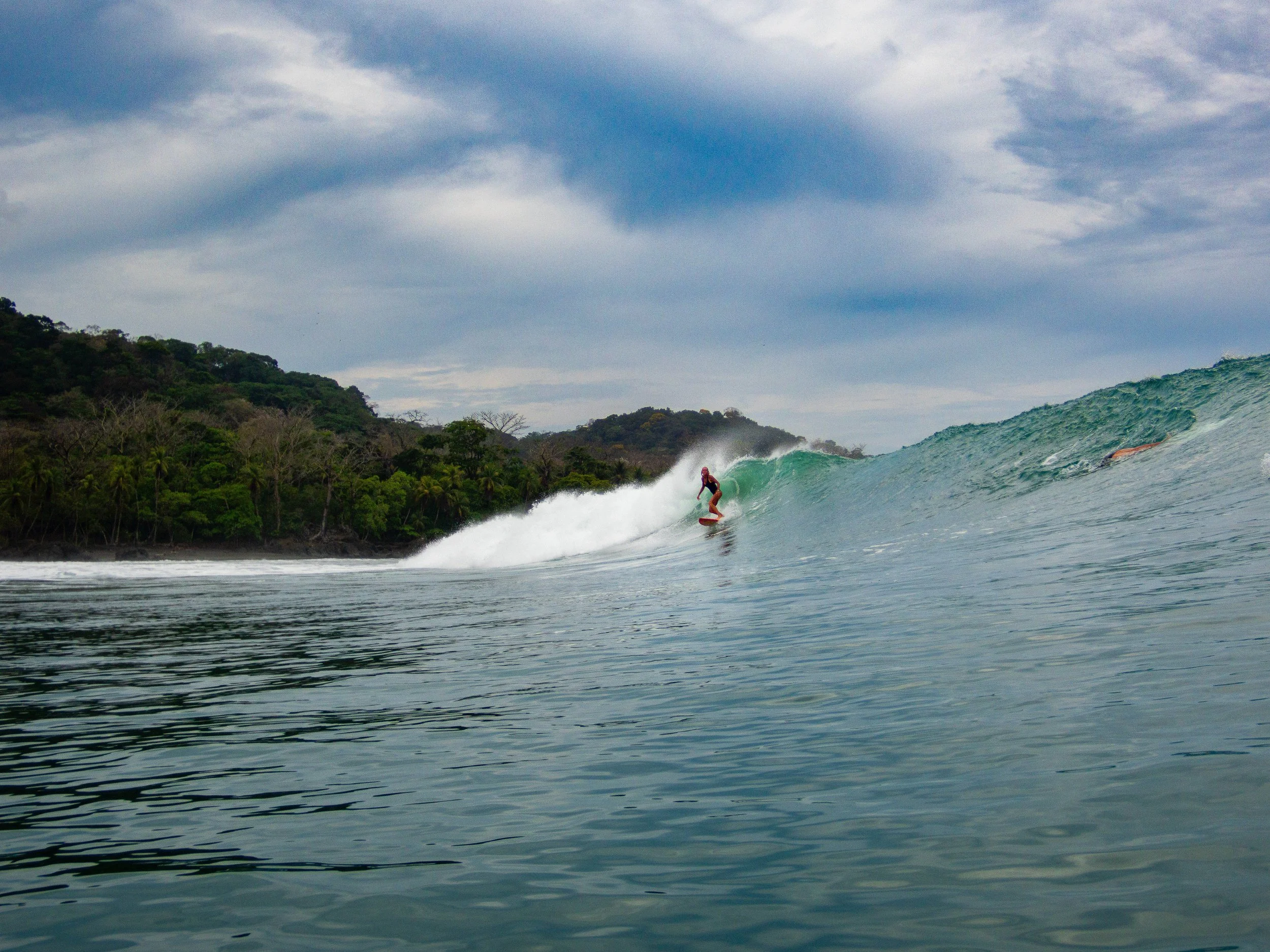 Surfer riding ocean wave near lush coastline under cloudy sky.
