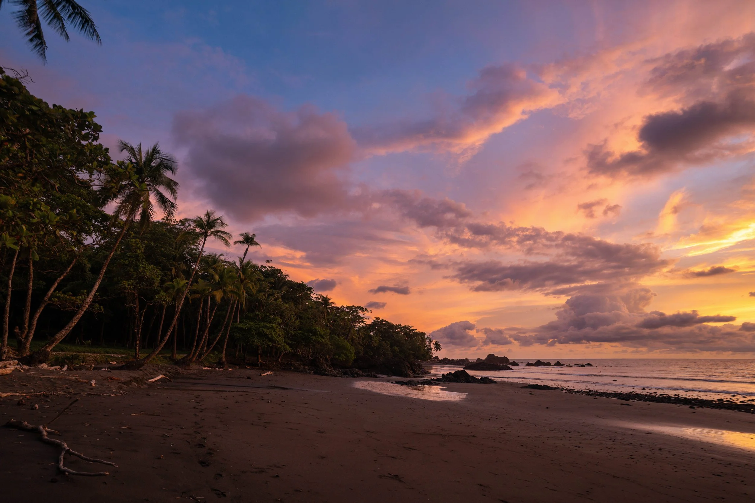 A tropical beach at sunset with pink and purple clouds in the sky, palm trees along the shoreline, and the ocean waves gently hitting the dark sandy beach.