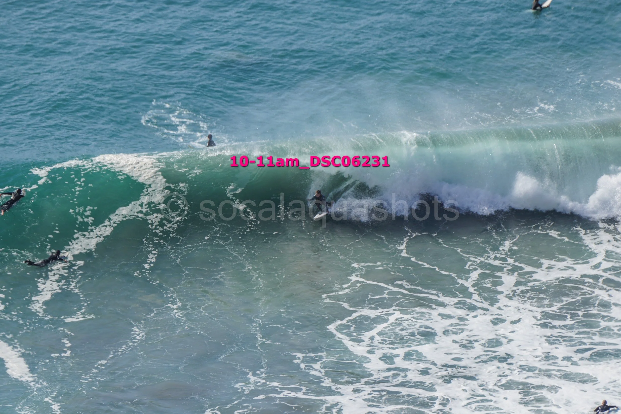 People surfing in the ocean, with one person riding a large wave and others swimming nearby.