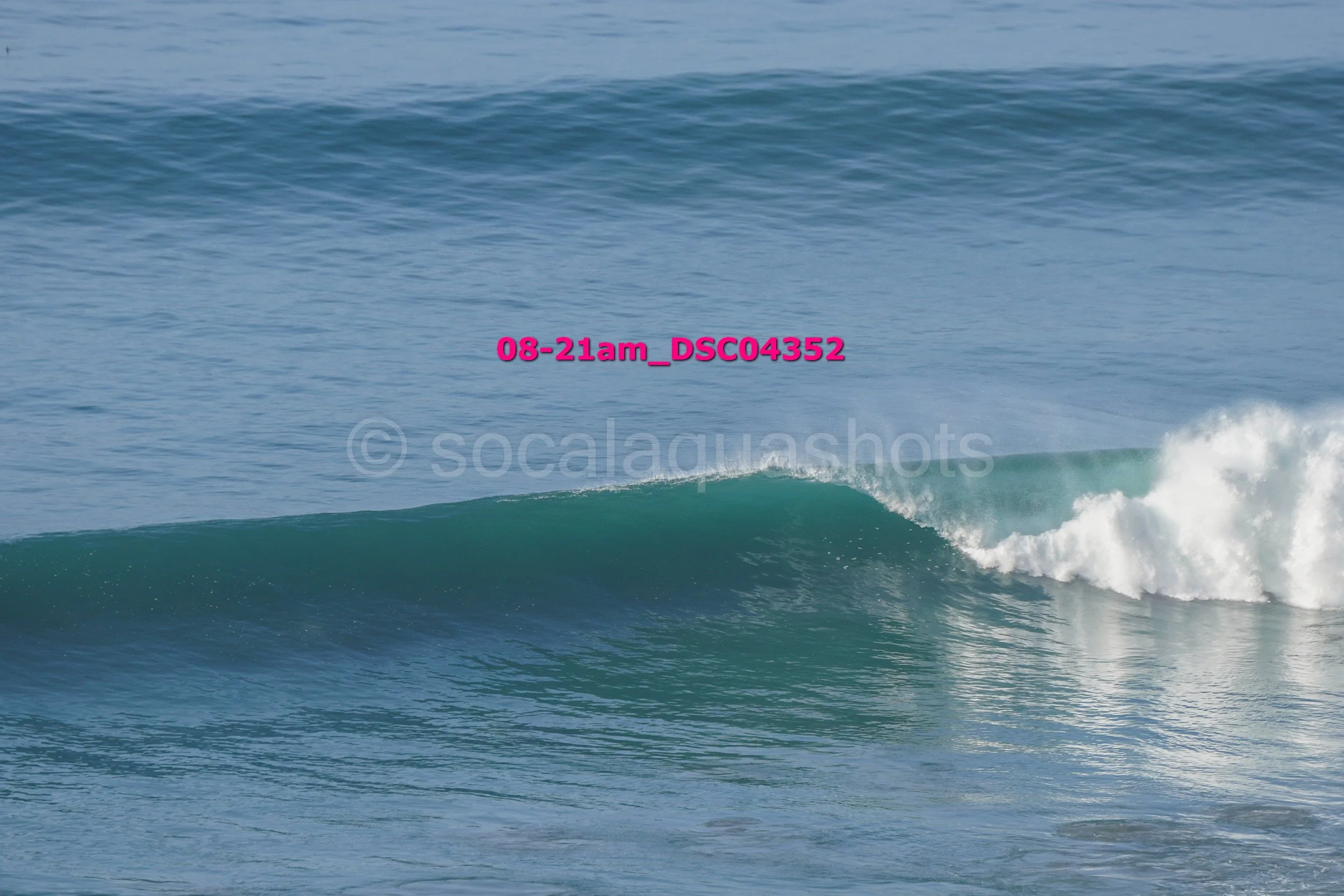 A wave in the ocean beginning to break, with white foam forming at the crest, clear blue water, and a calm sea in the background.