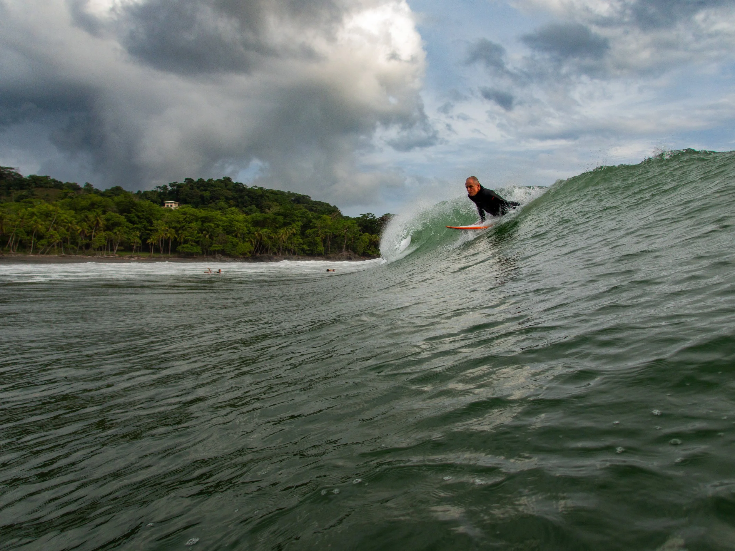 Surfer riding a wave near a forested coastline under a cloudy sky.