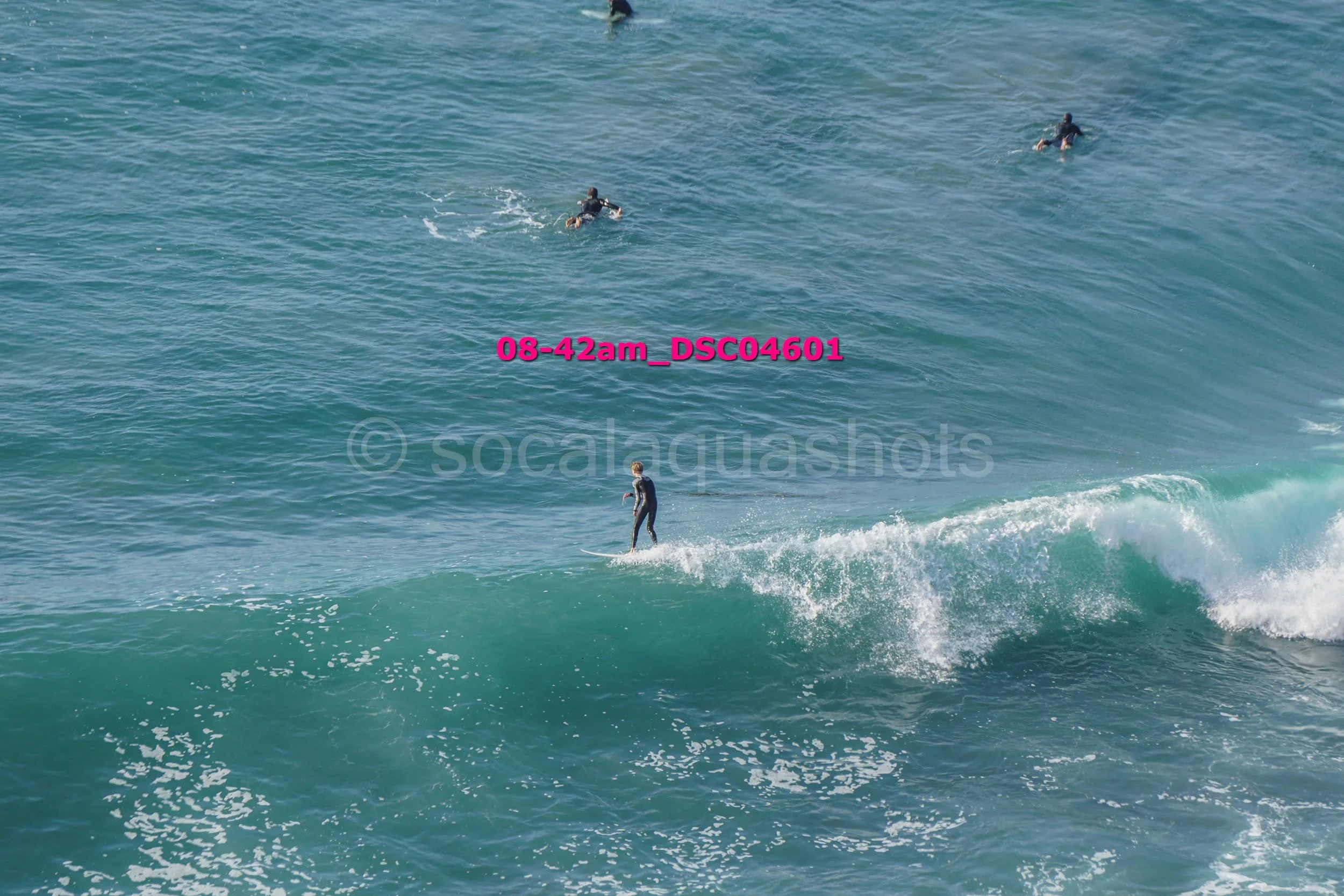 Surfer riding a wave in the ocean as others swim in the background.