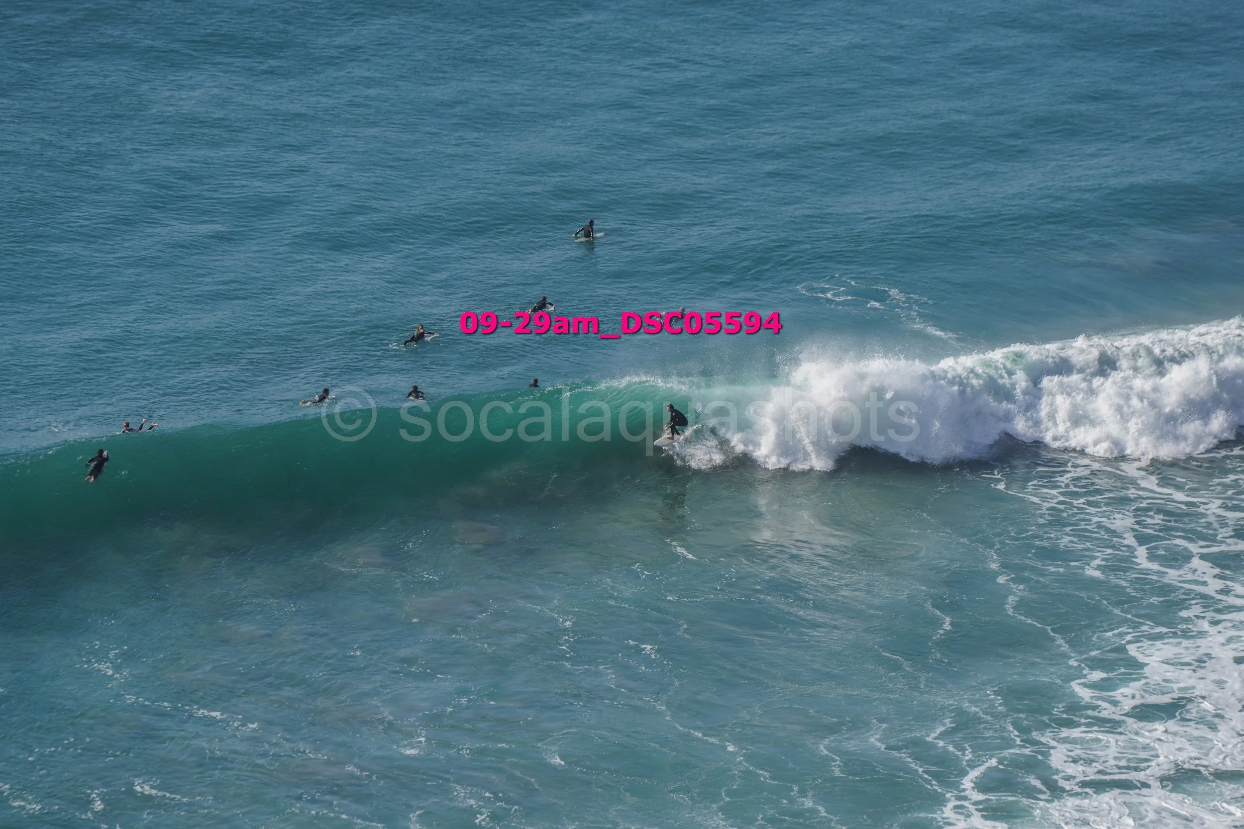 Surfers riding a large wave in the ocean, some waiting in the water for their turn.