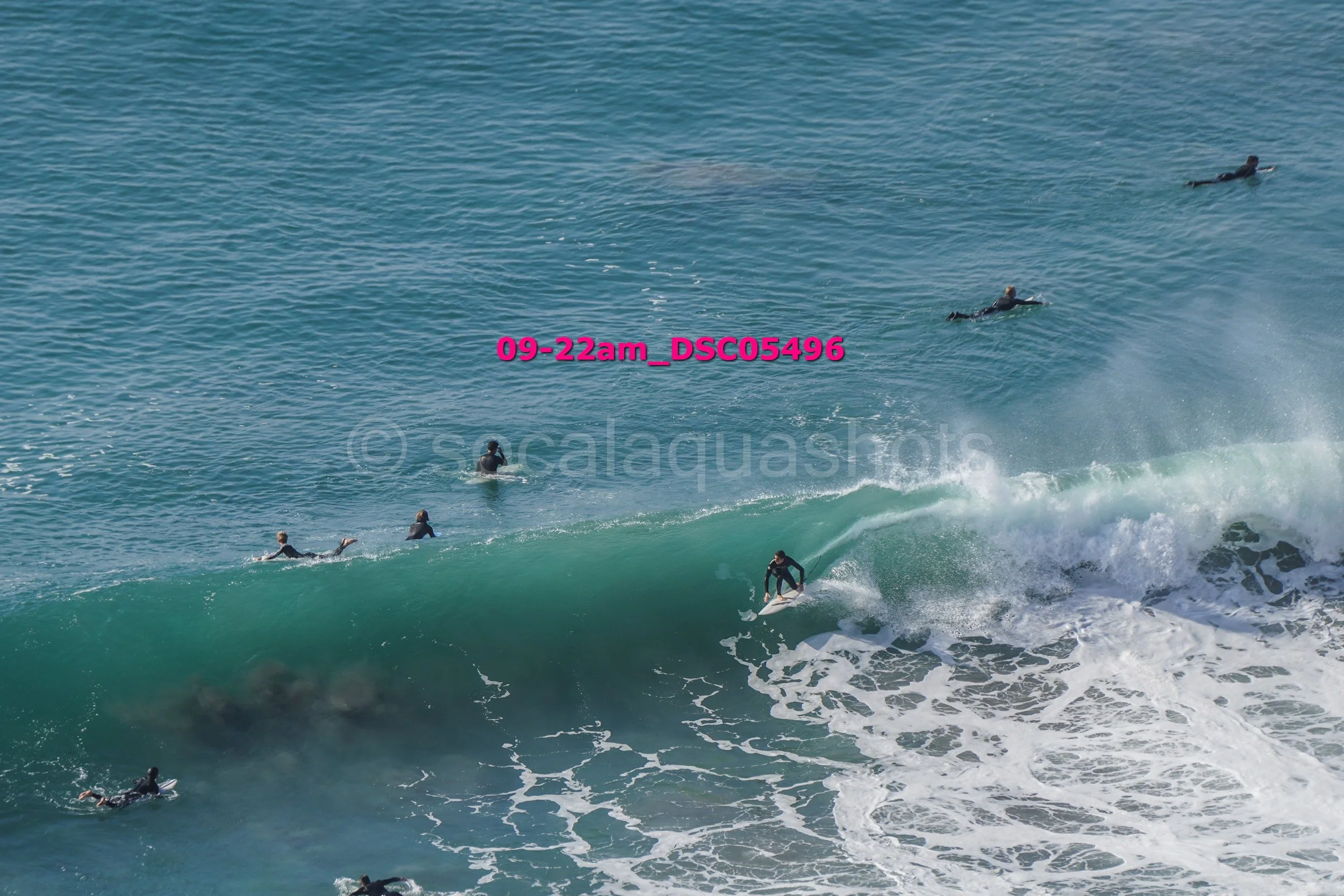 Surfer riding a wave with multiple surfers in the water around him