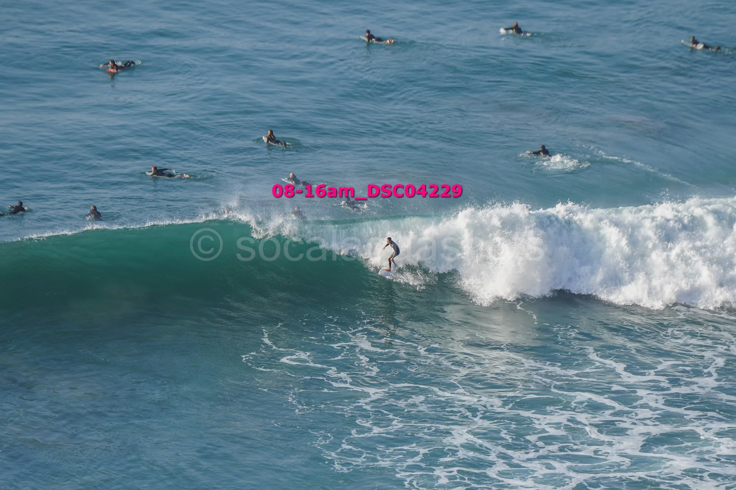 Surfer riding a wave with multiple people swimming and surfing in the background in the ocean.