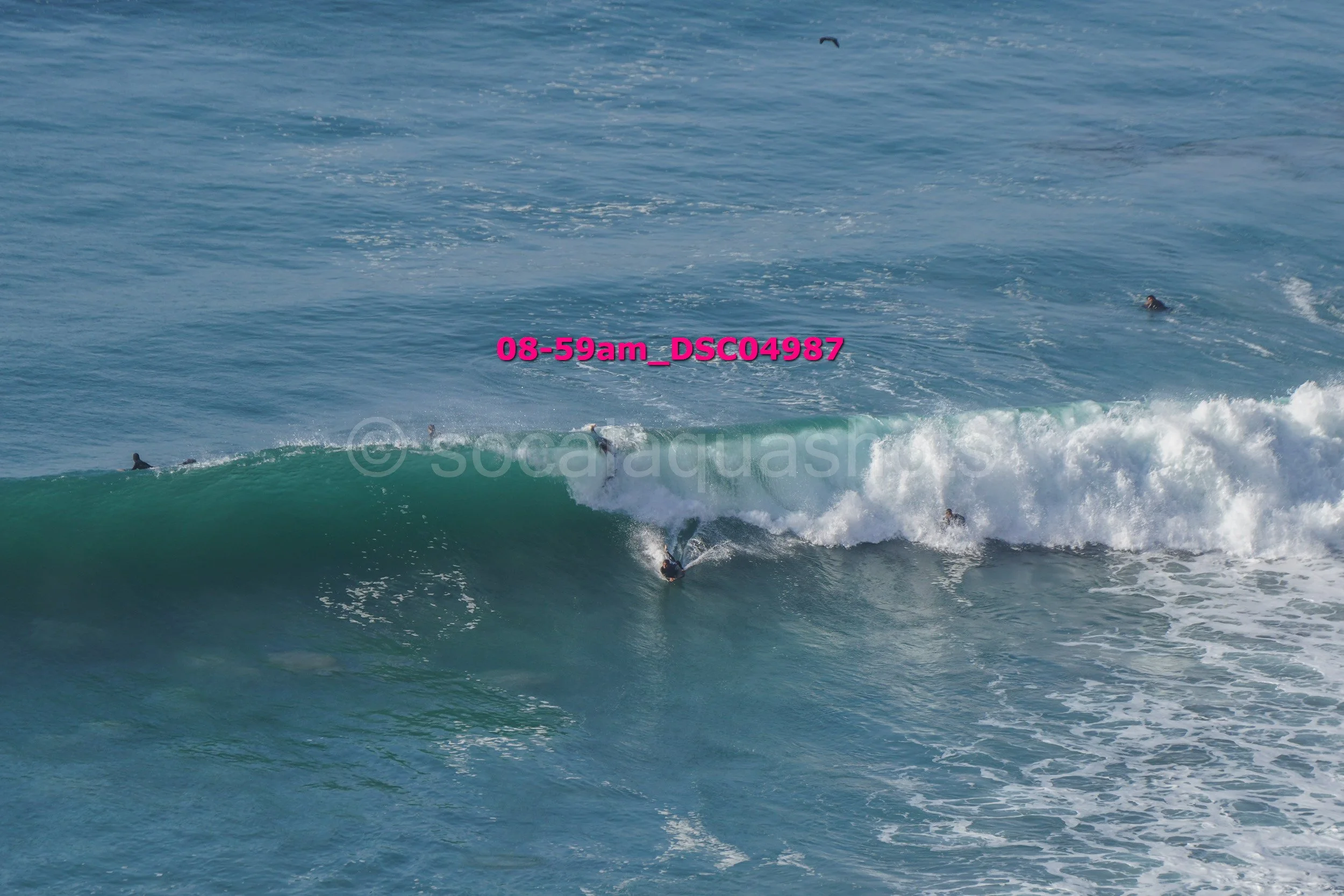 Surfers in the ocean with a large wave, one surfer riding the wave and several others waiting in the water.