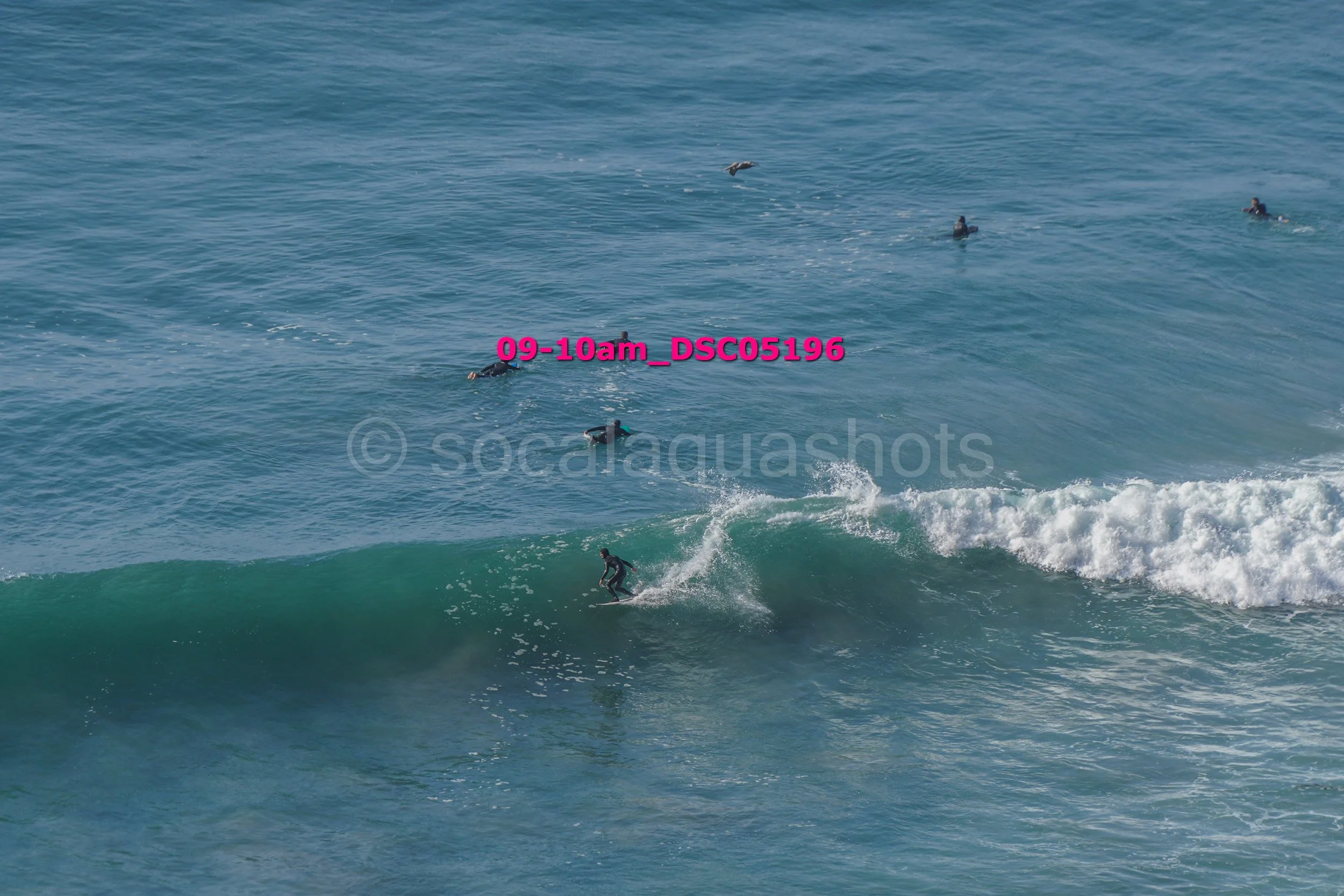 A person surfing on a wave in the ocean with multiple people swimming or snorkeling in the water nearby.
