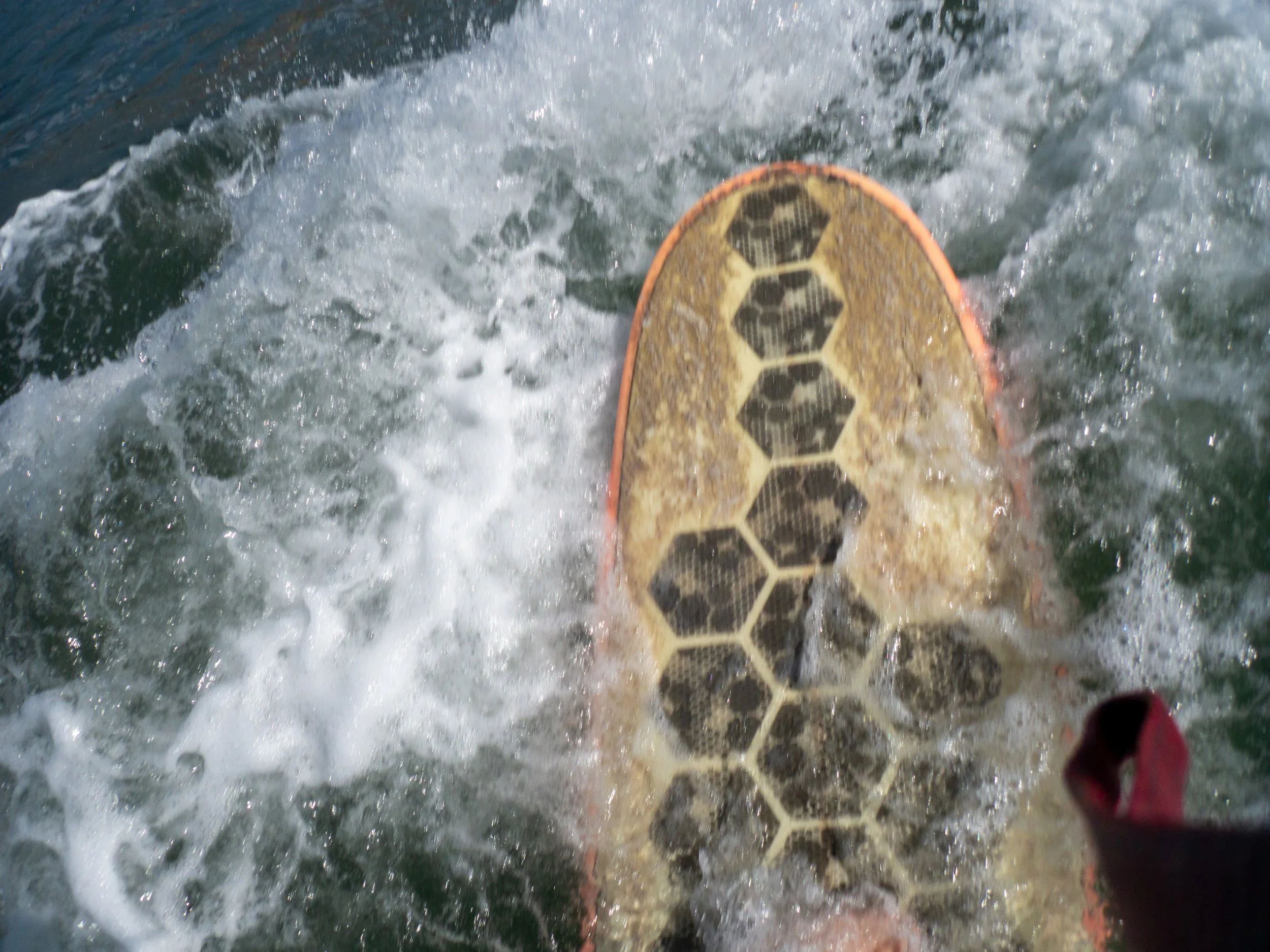 The image shows the bottom of a surfboard with a honeycomb pattern on its underside, riding on the water's surface with a wake behind it.
