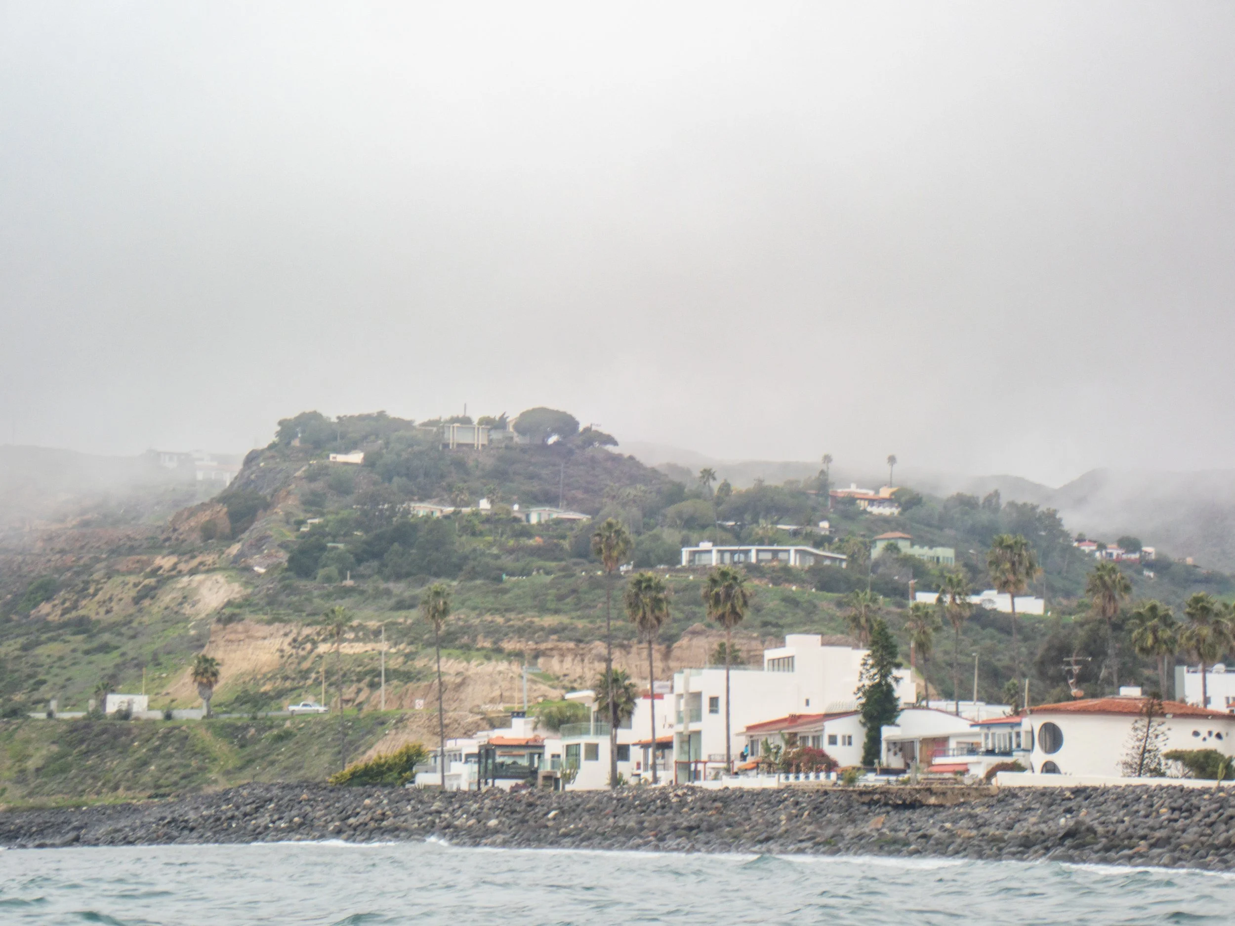 Coastal scene with houses on hillside and palm trees, ocean in foreground, overcast sky with fog or mist.