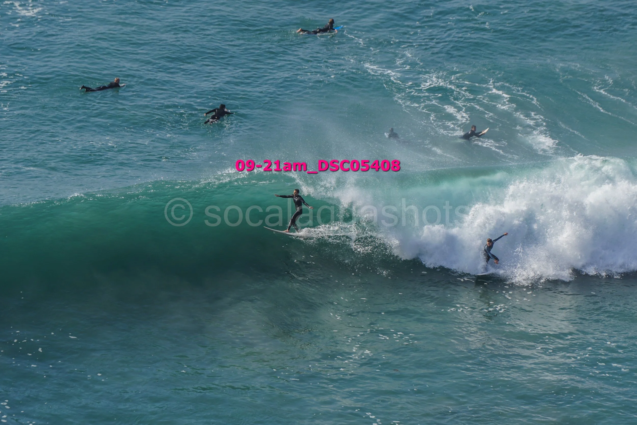 Surfers riding and catching waves in the ocean with several other surfers swimming or paddling nearby.