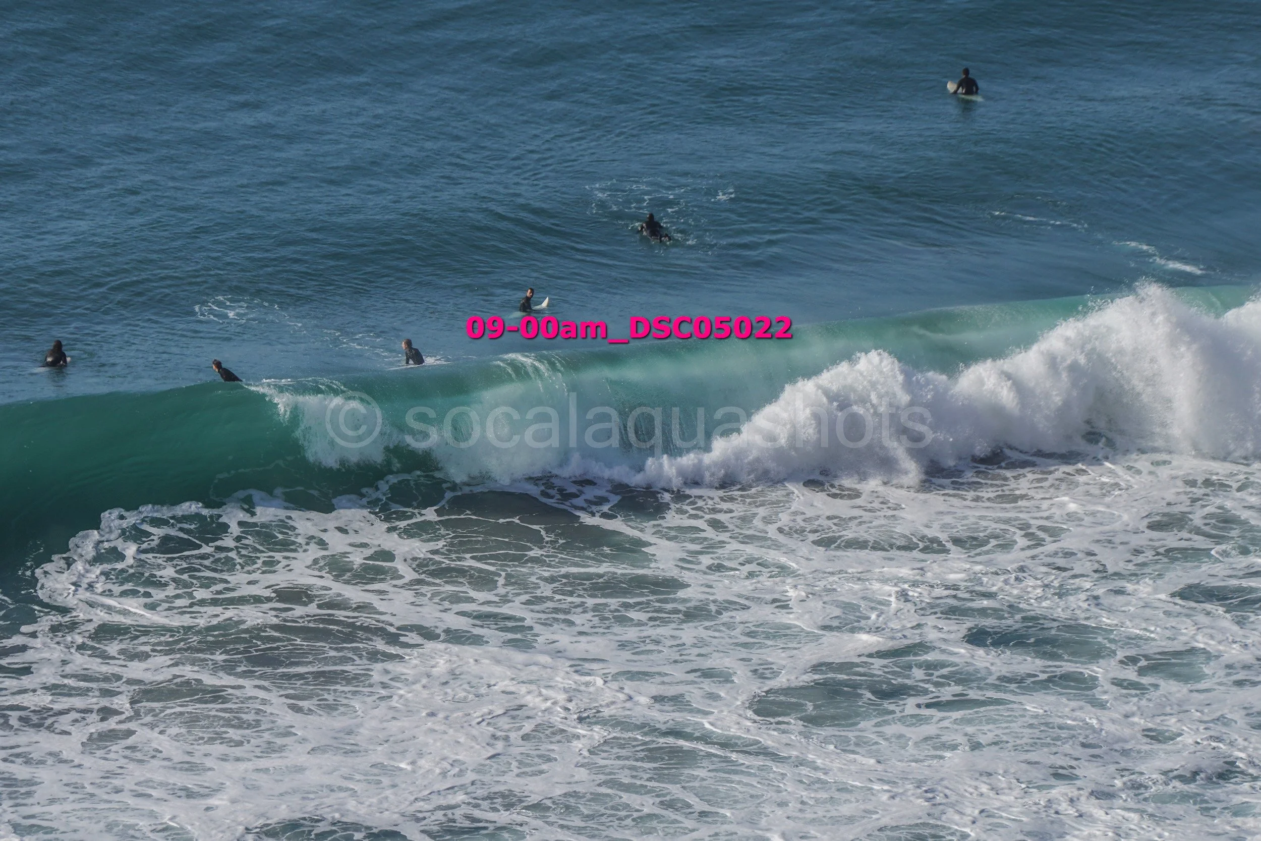 Group of surfers in the ocean waiting for waves and riding surfboards, with some catching a wave.