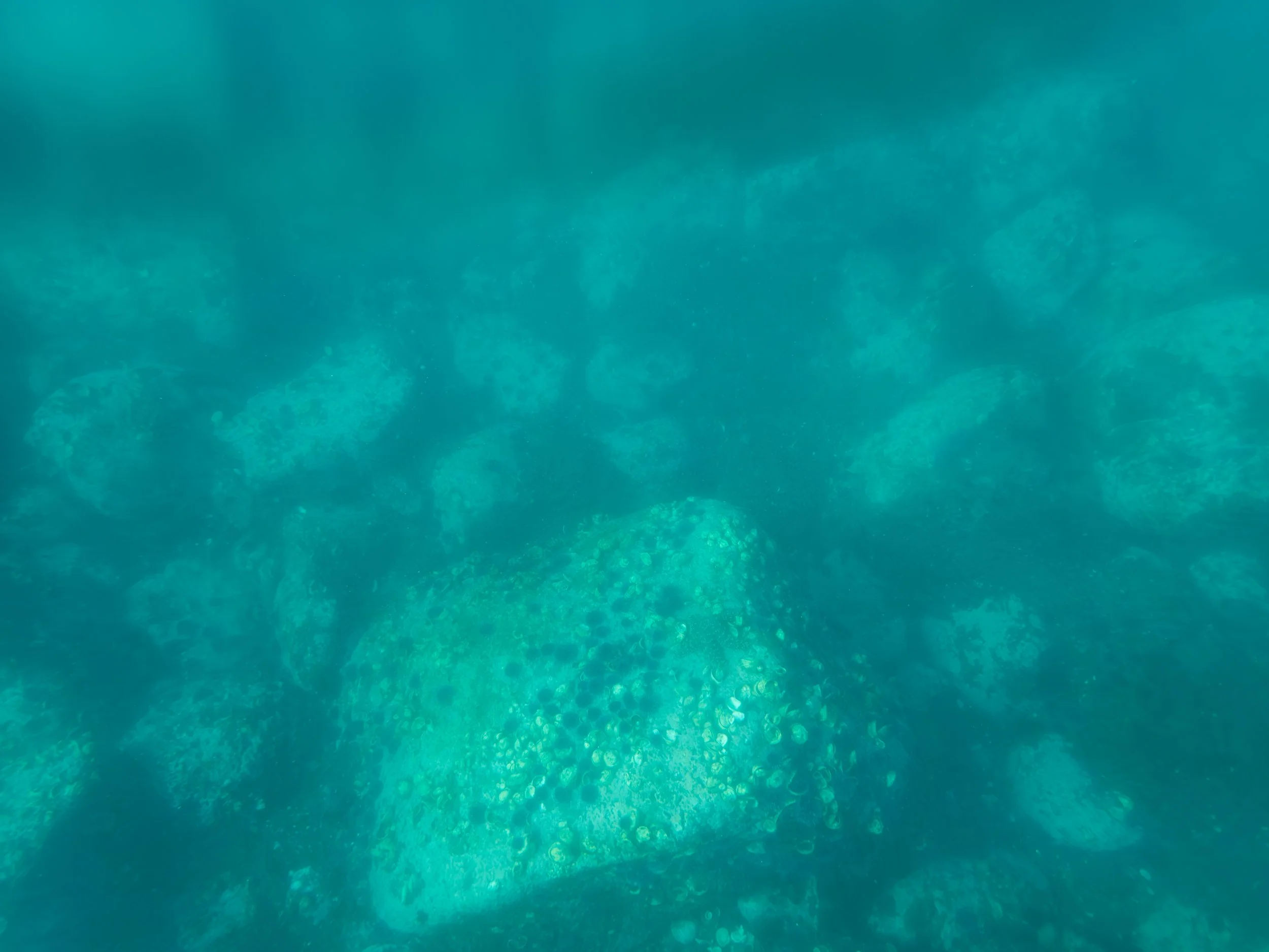Underwater scene with coral reefs and marine life in clear blue water.