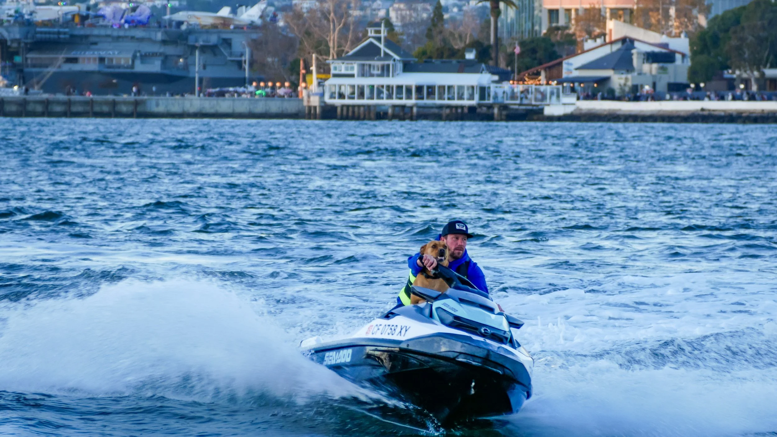 A man and his dog riding a jet ski on a body of water with a shoreline in the background featuring buildings and trees.
