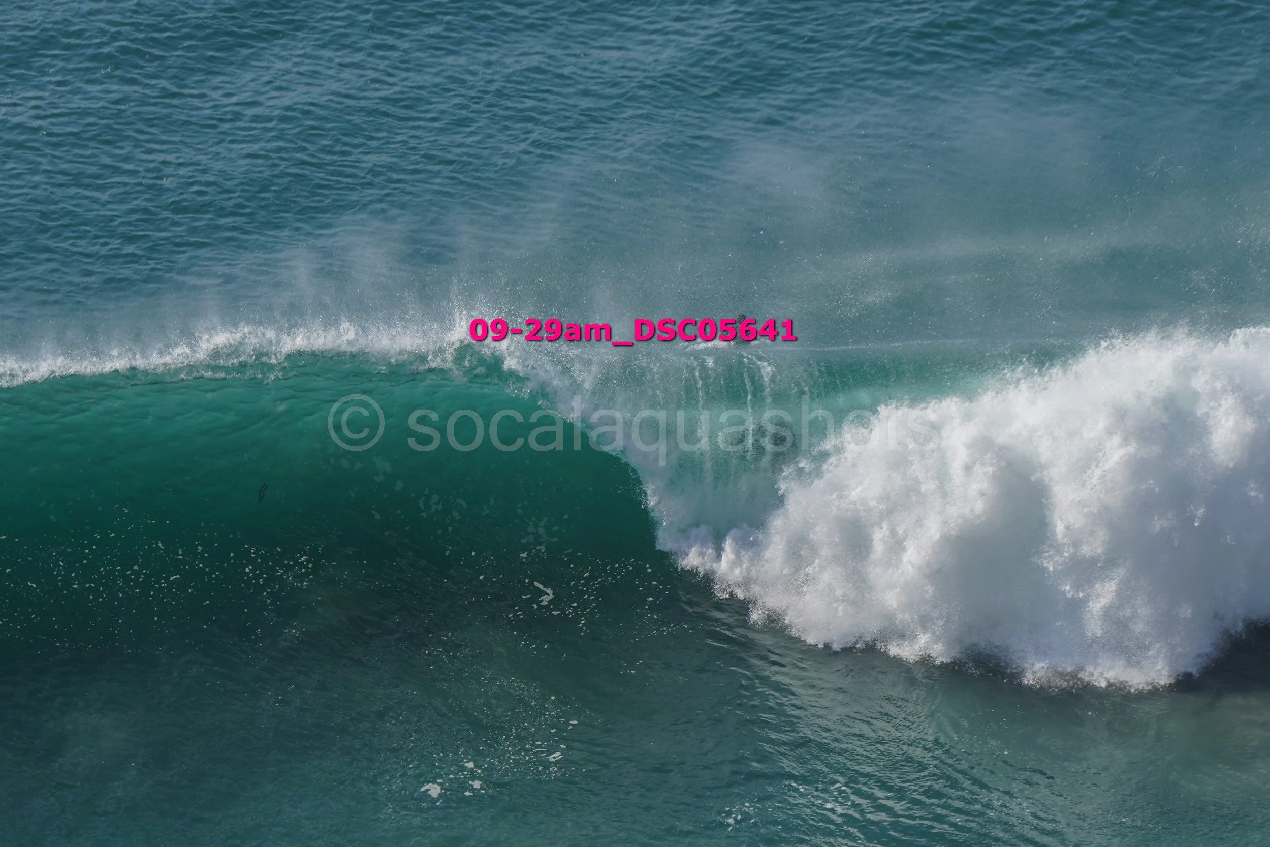 A large ocean wave with white foam at the crest and turquoise water in the trough.