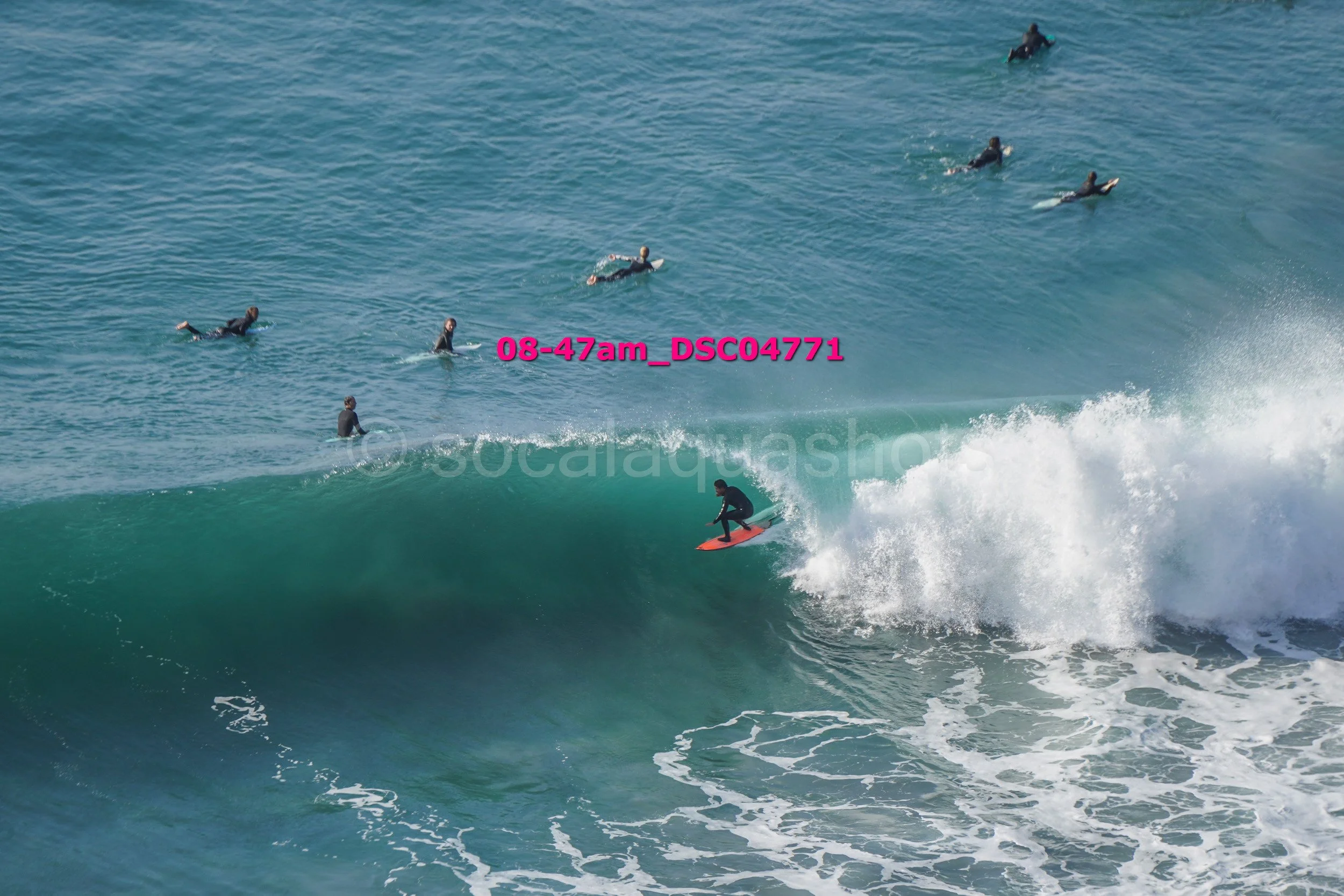 A surfer riding a large wave with six people swimming in the water nearby.