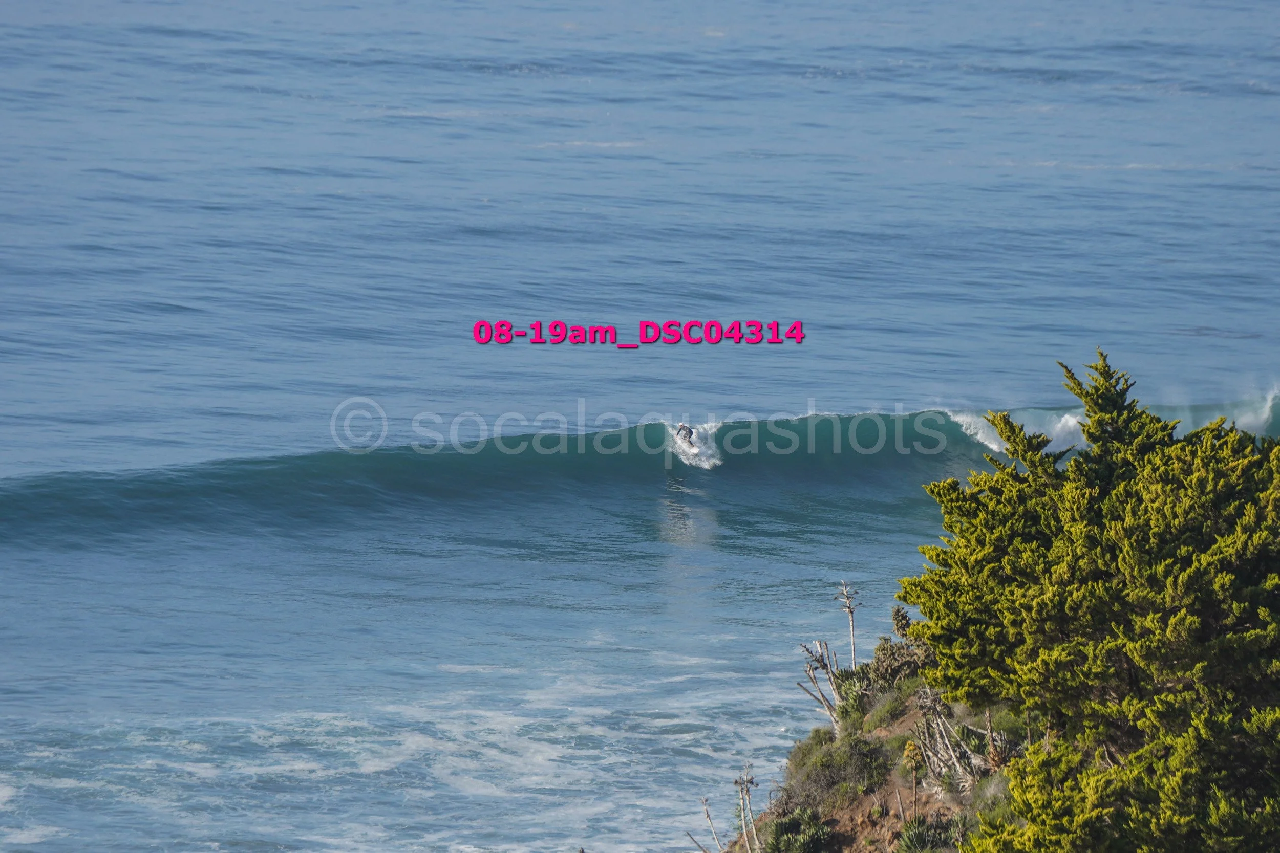 A surfer riding a wave near a rocky shoreline with green trees.