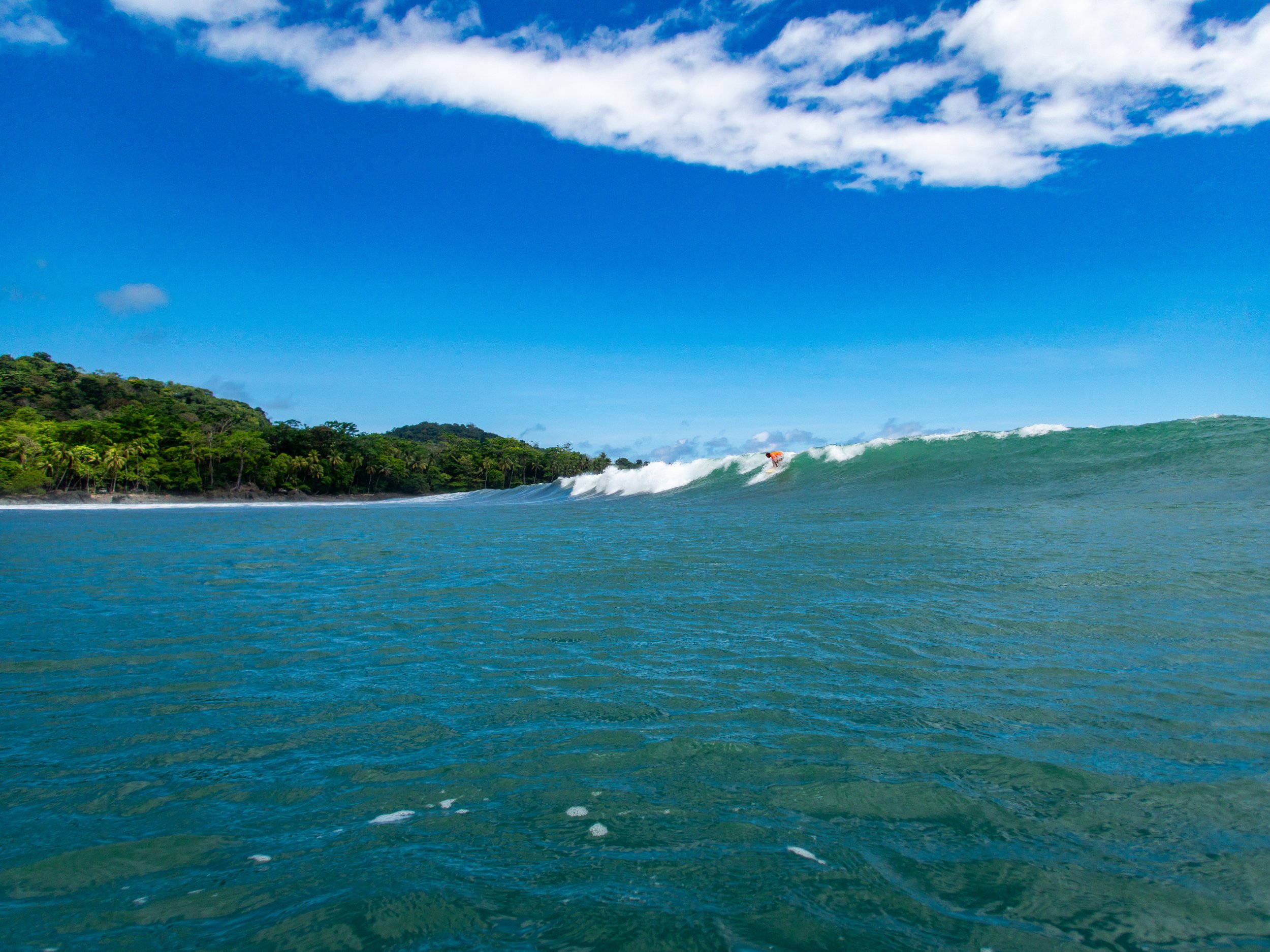 Surfer riding a wave in the ocean with a tropical coastline in the background, under a blue sky with white clouds.