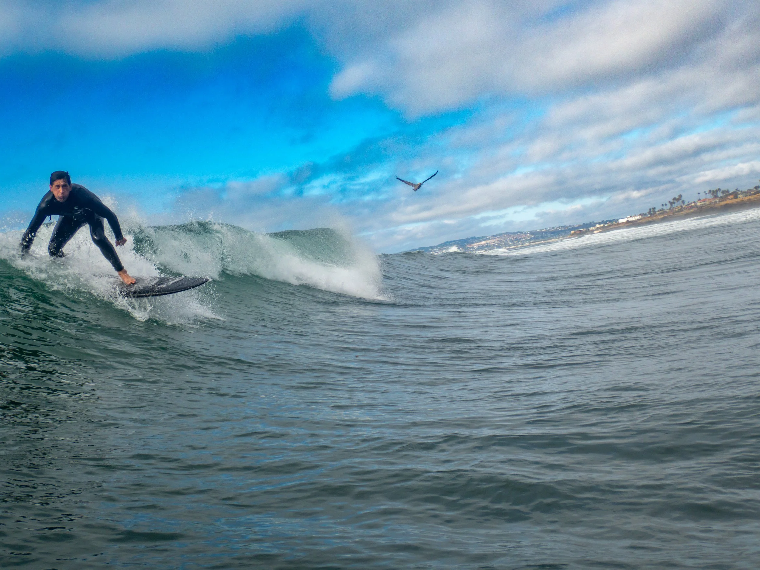 A person riding a wave on a surfboard in the ocean, with a bird flying in the sky and a coastline in the background.