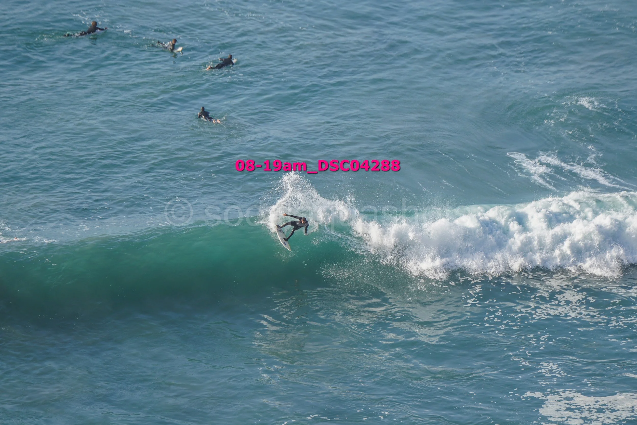 A person surfing on a wave with five other people swimming or surfing in the water nearby.
