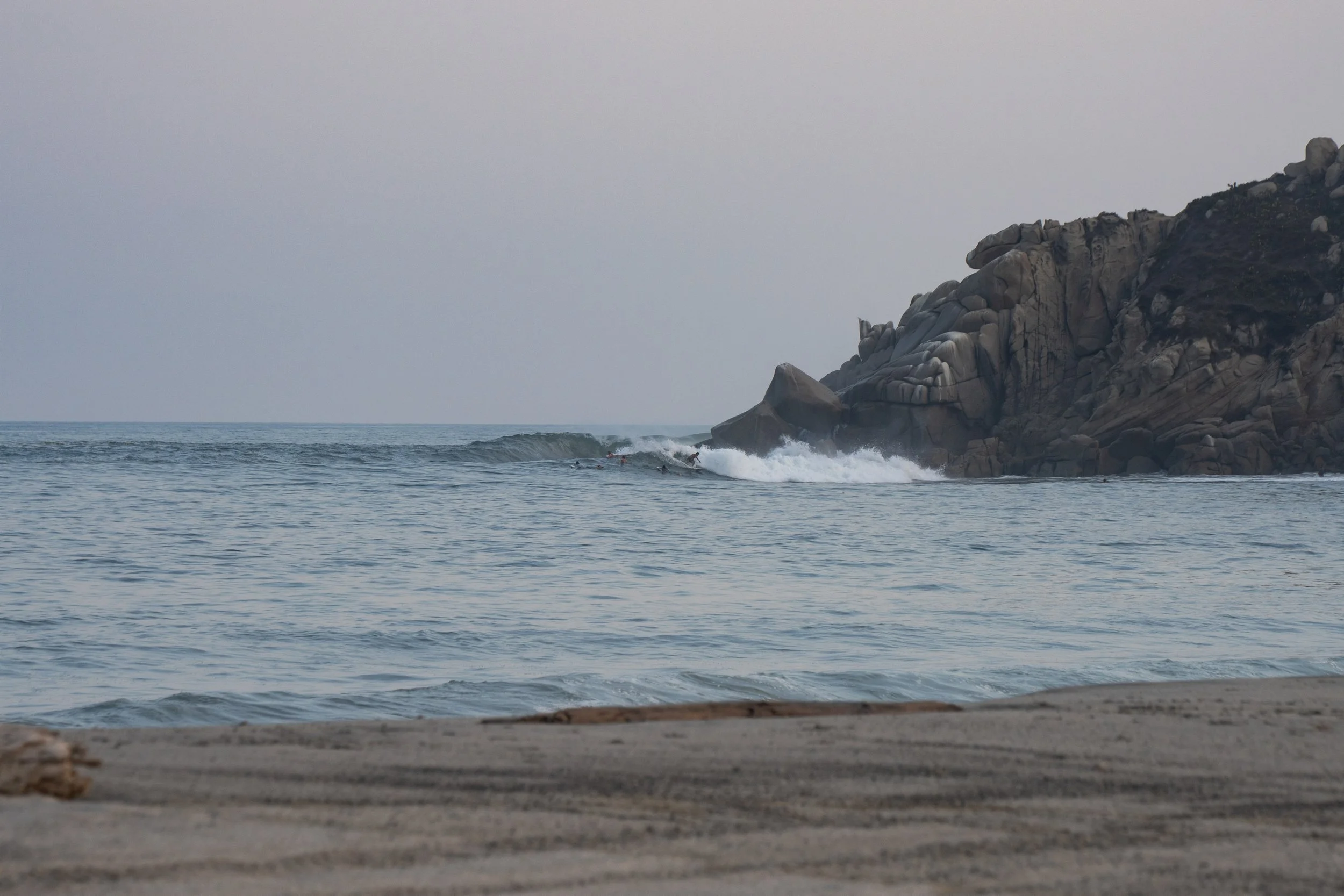 DSC01580.jpg