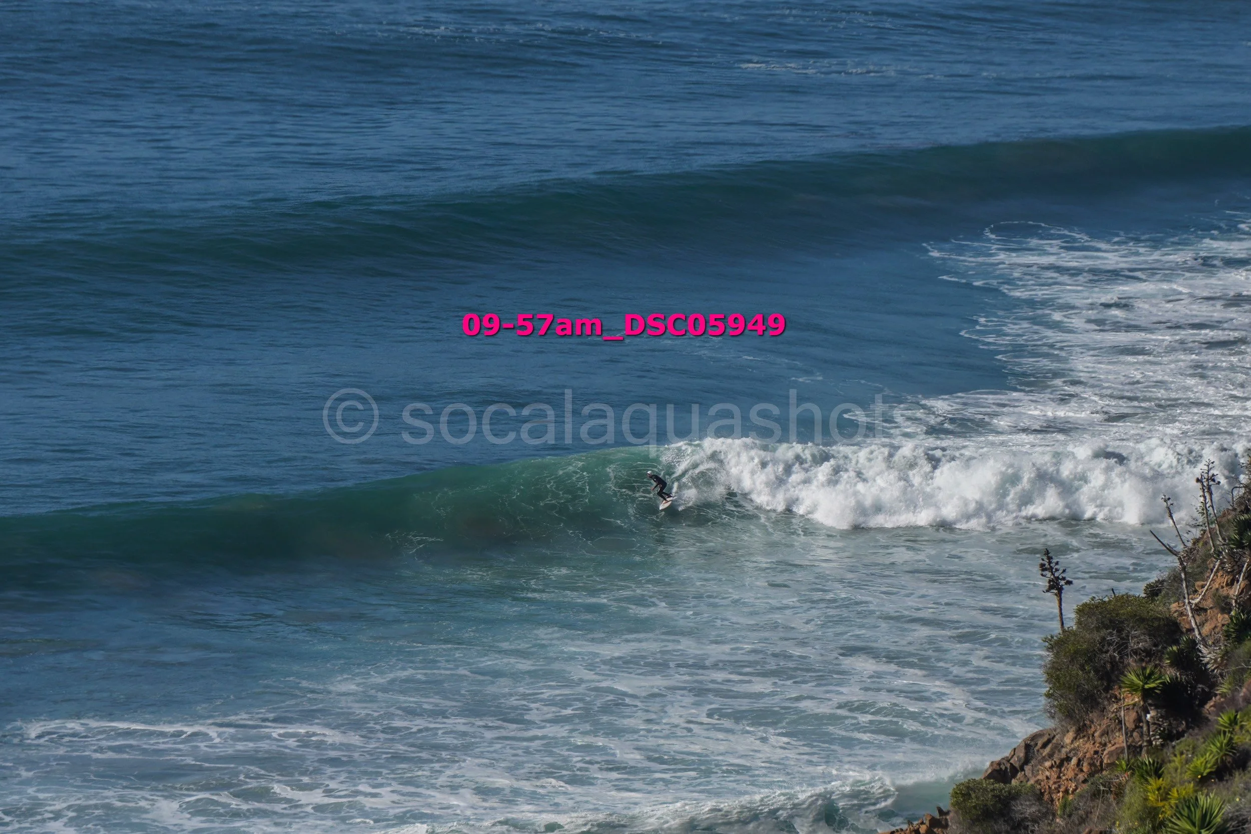 A person surfing on a wave near a rocky shoreline with some plants, during daytime.
