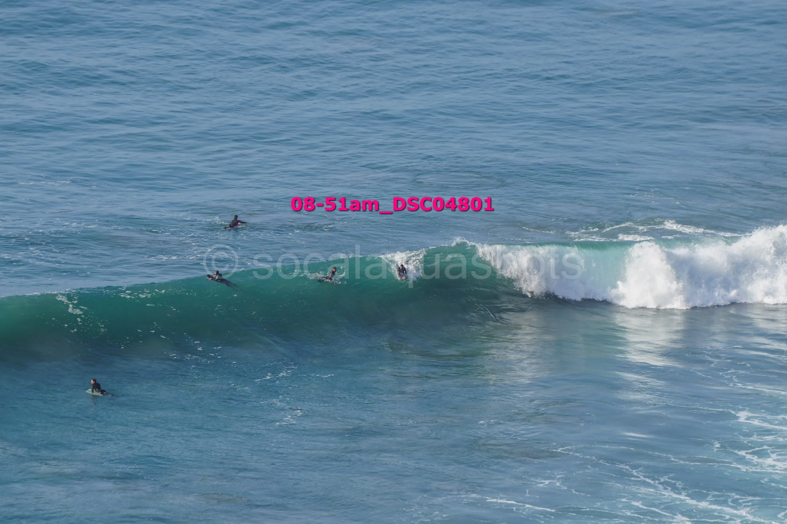 Multiple surfers in wetsuits waiting for waves in the ocean, with one surfer riding a large wave.