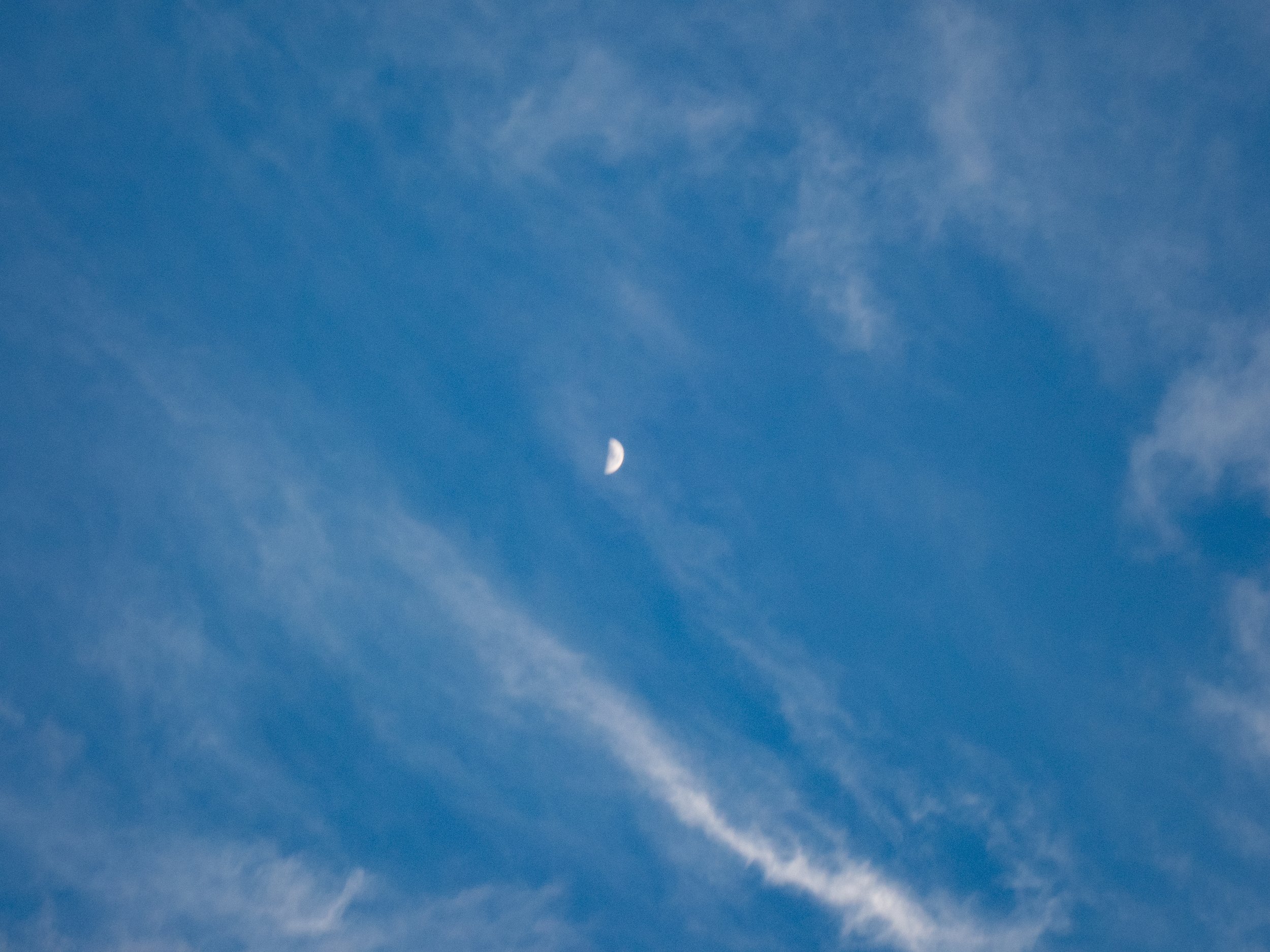 P8192464.jpg