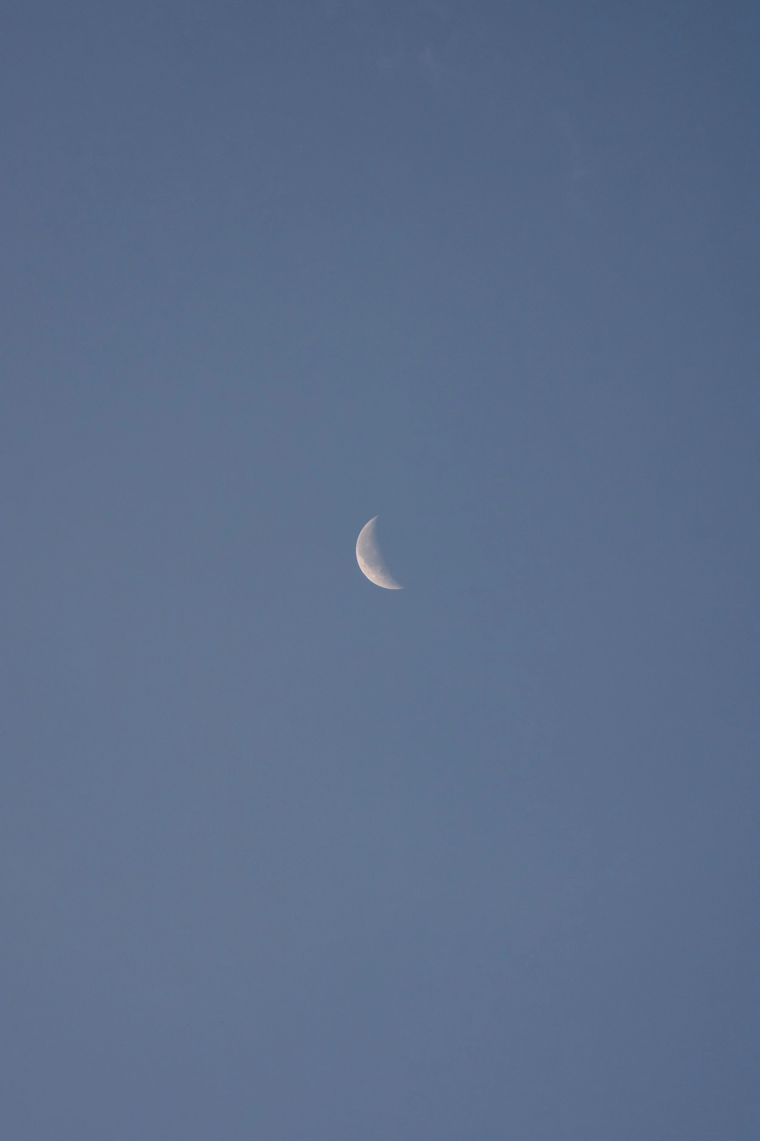 DSC00759.jpg