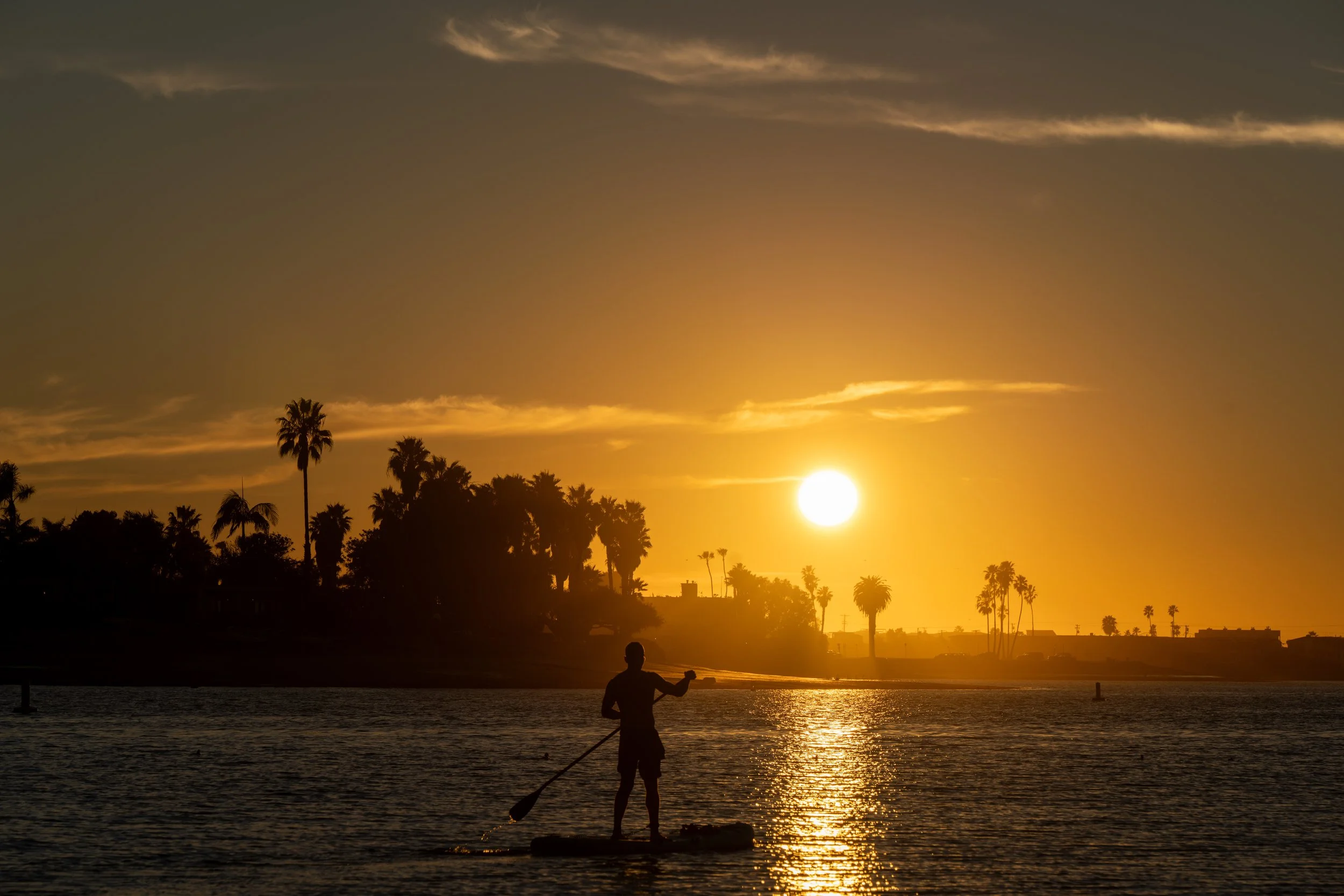 A person paddleboarding on a calm body of water during sunset with silhouetted palm trees along the shoreline and a golden sky.