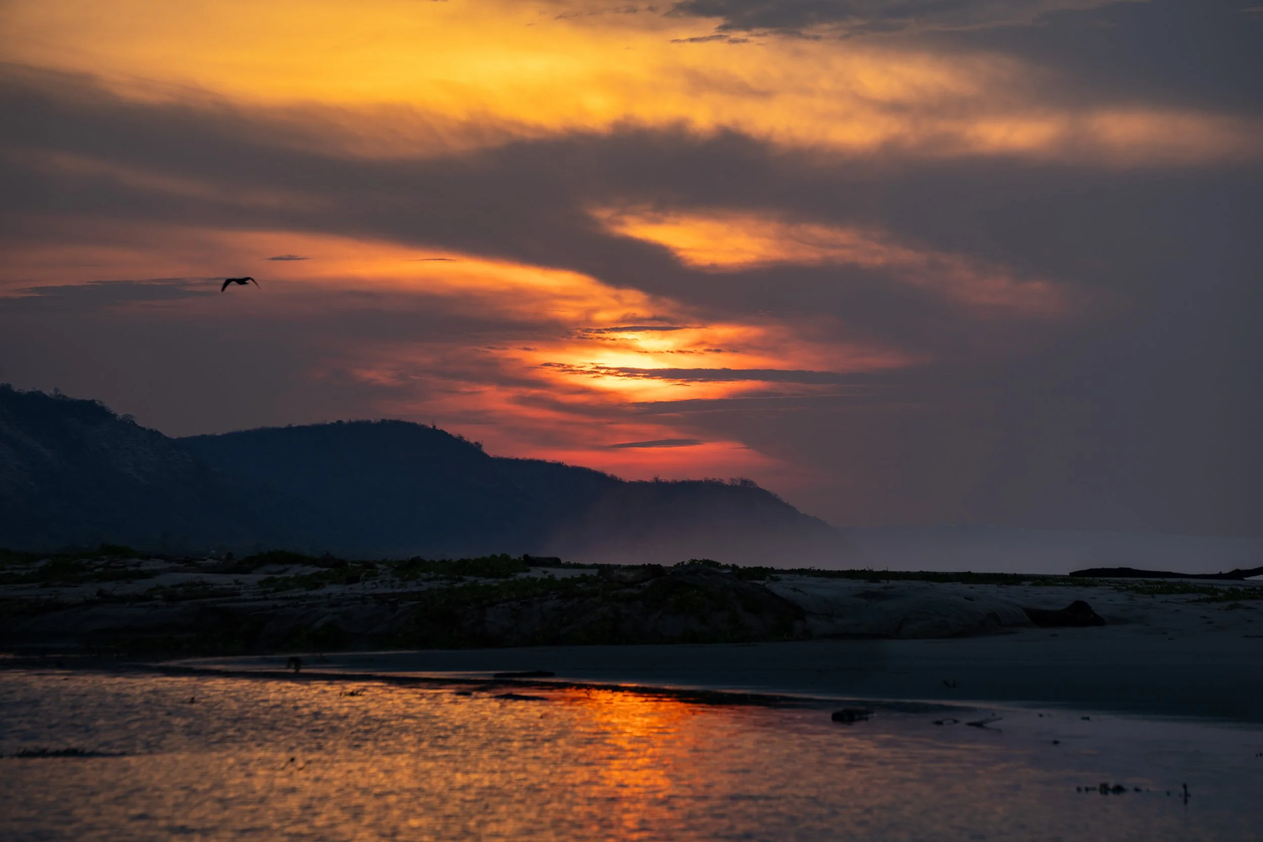 A sunset over mountains and a body of water with a bird flying in the sky.