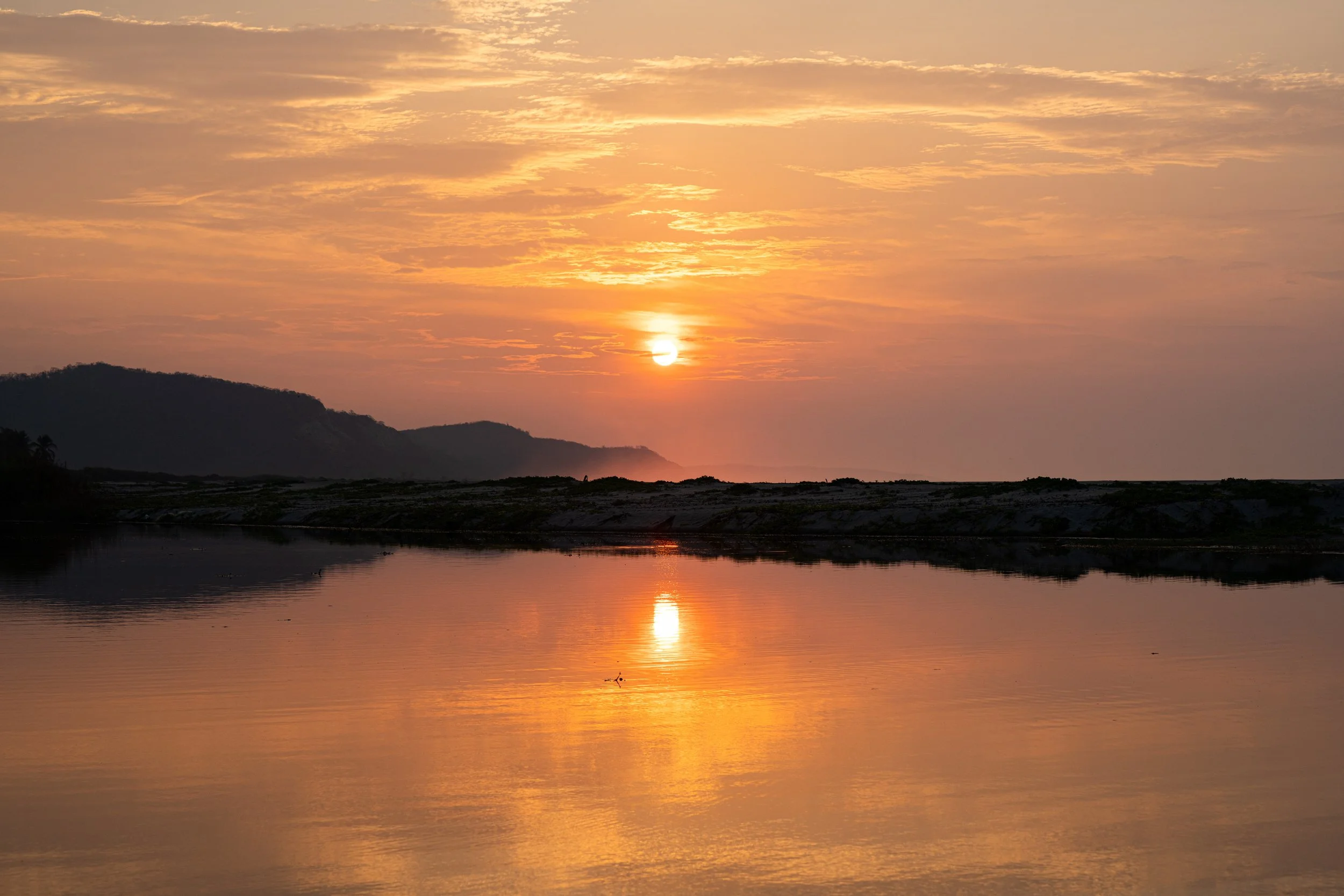 DSC02012.jpg
