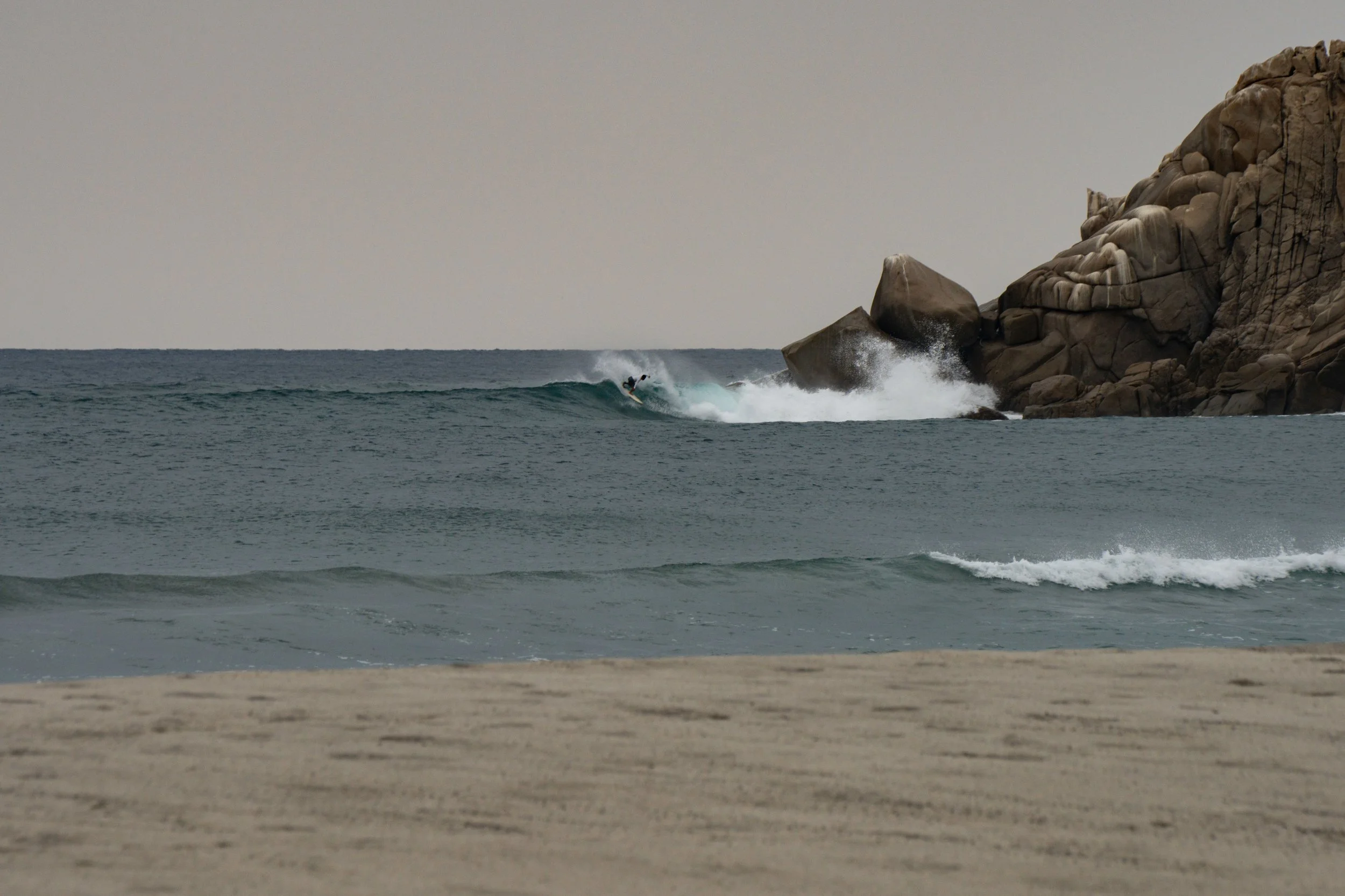 DSC01785.jpg