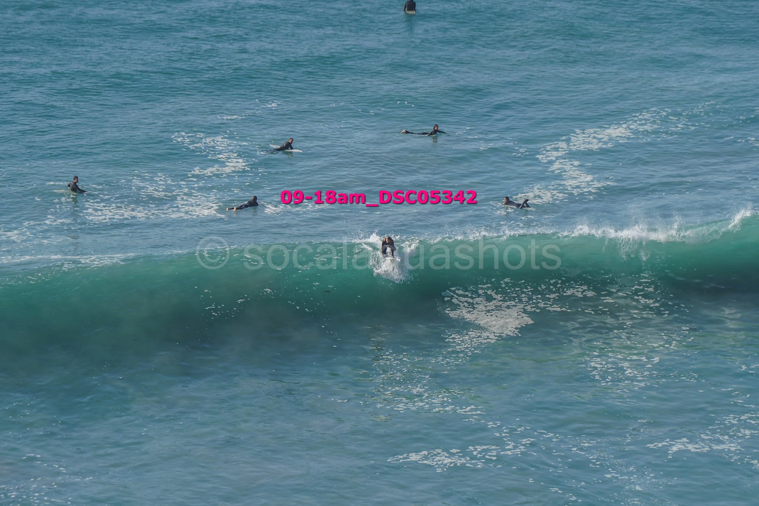 Surfers in the ocean; one surfing on a wave, others paddling on their boards in the background.