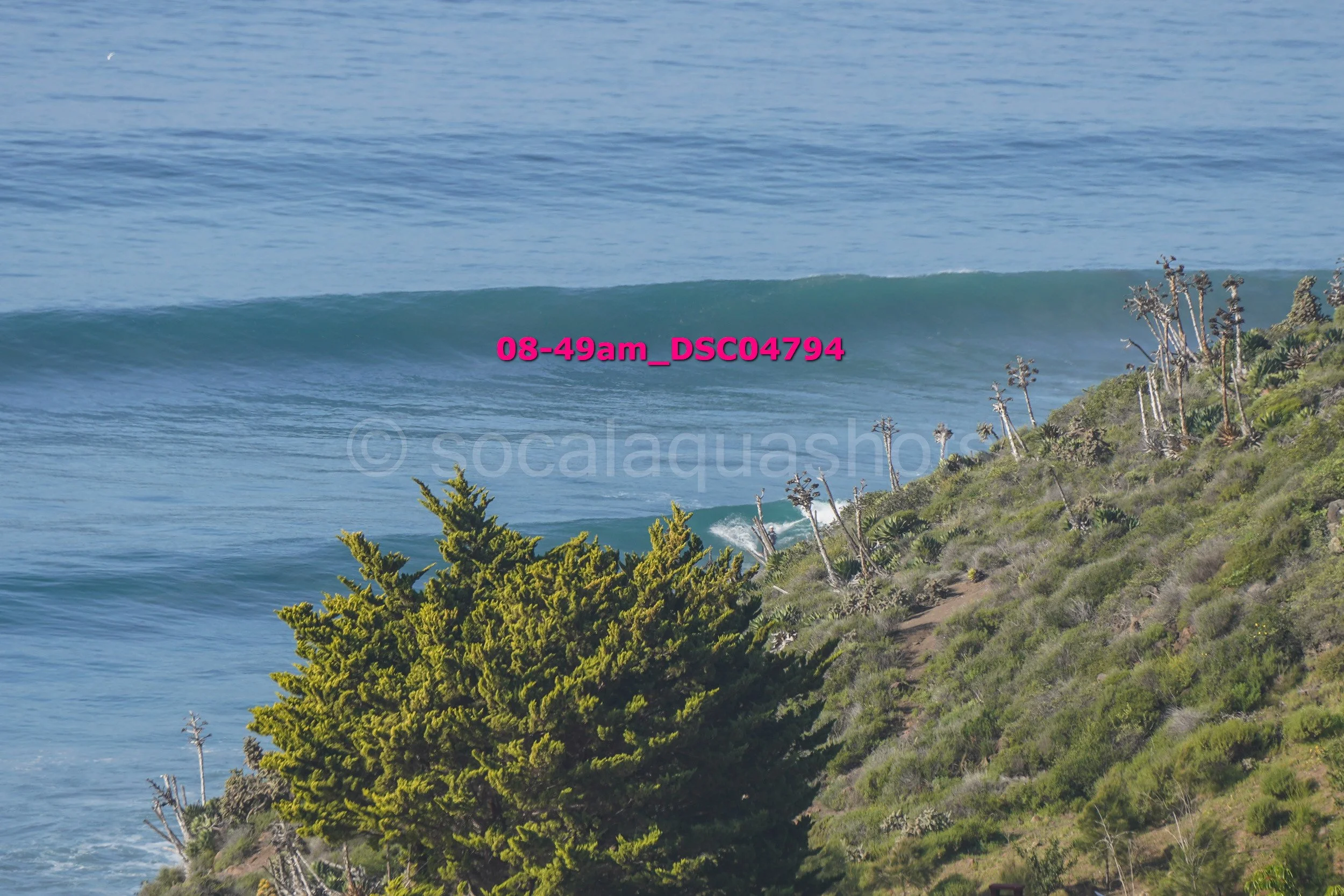 View of ocean waves breaking near a shoreline with green bushes and sparse trees on a slope.