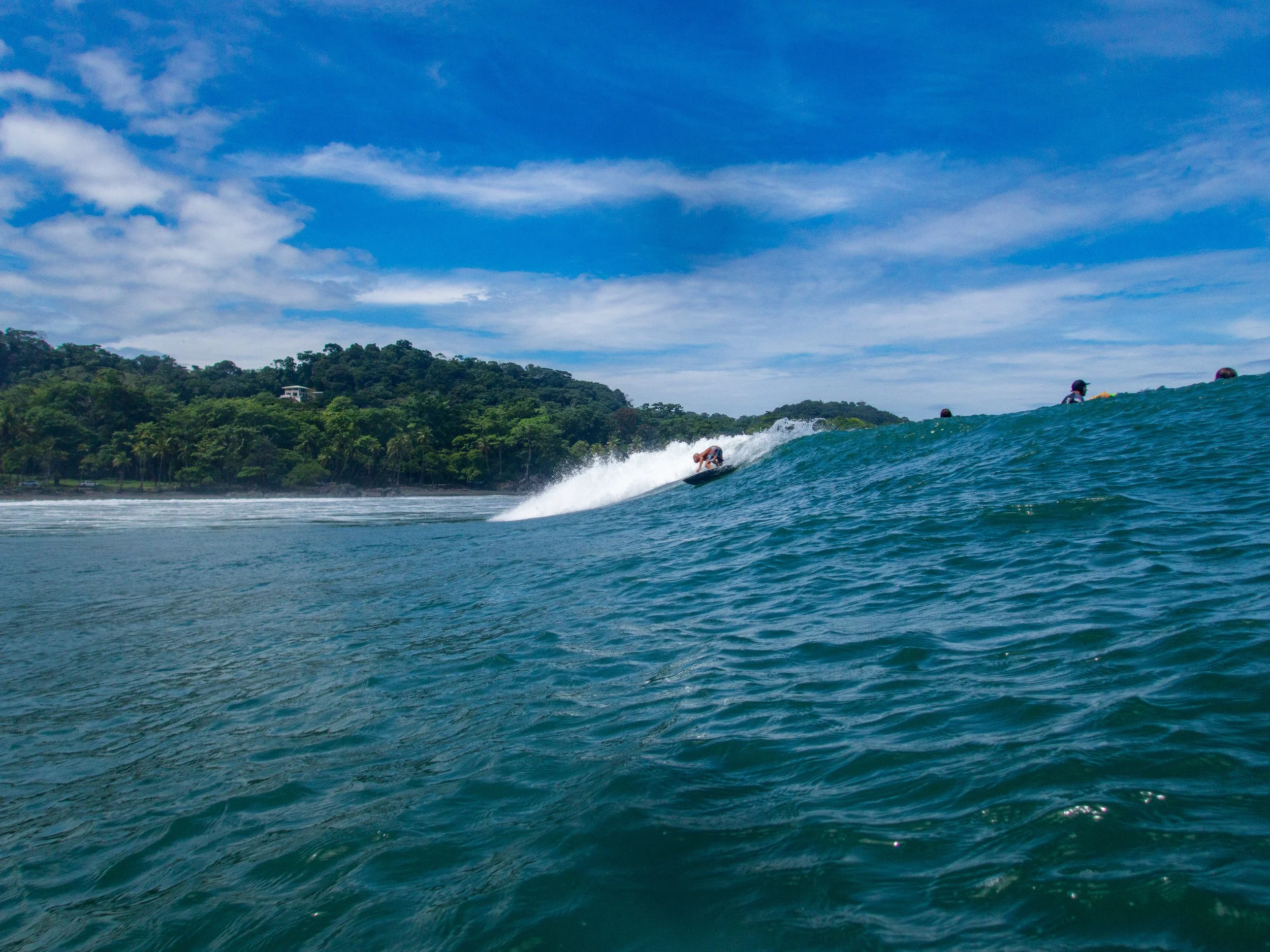 Surfer riding a wave in the ocean with a forested coastline and blue sky in the background.