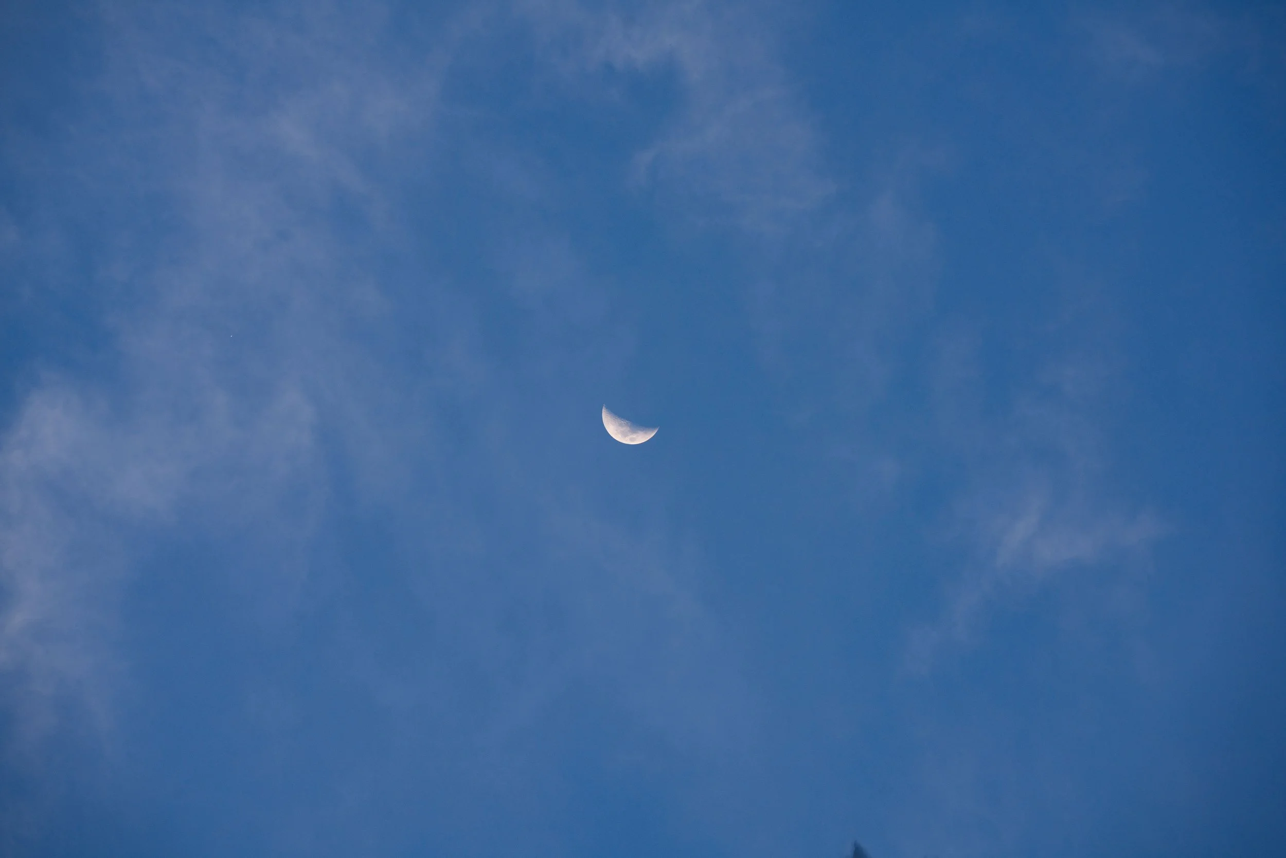DSC04182.jpg