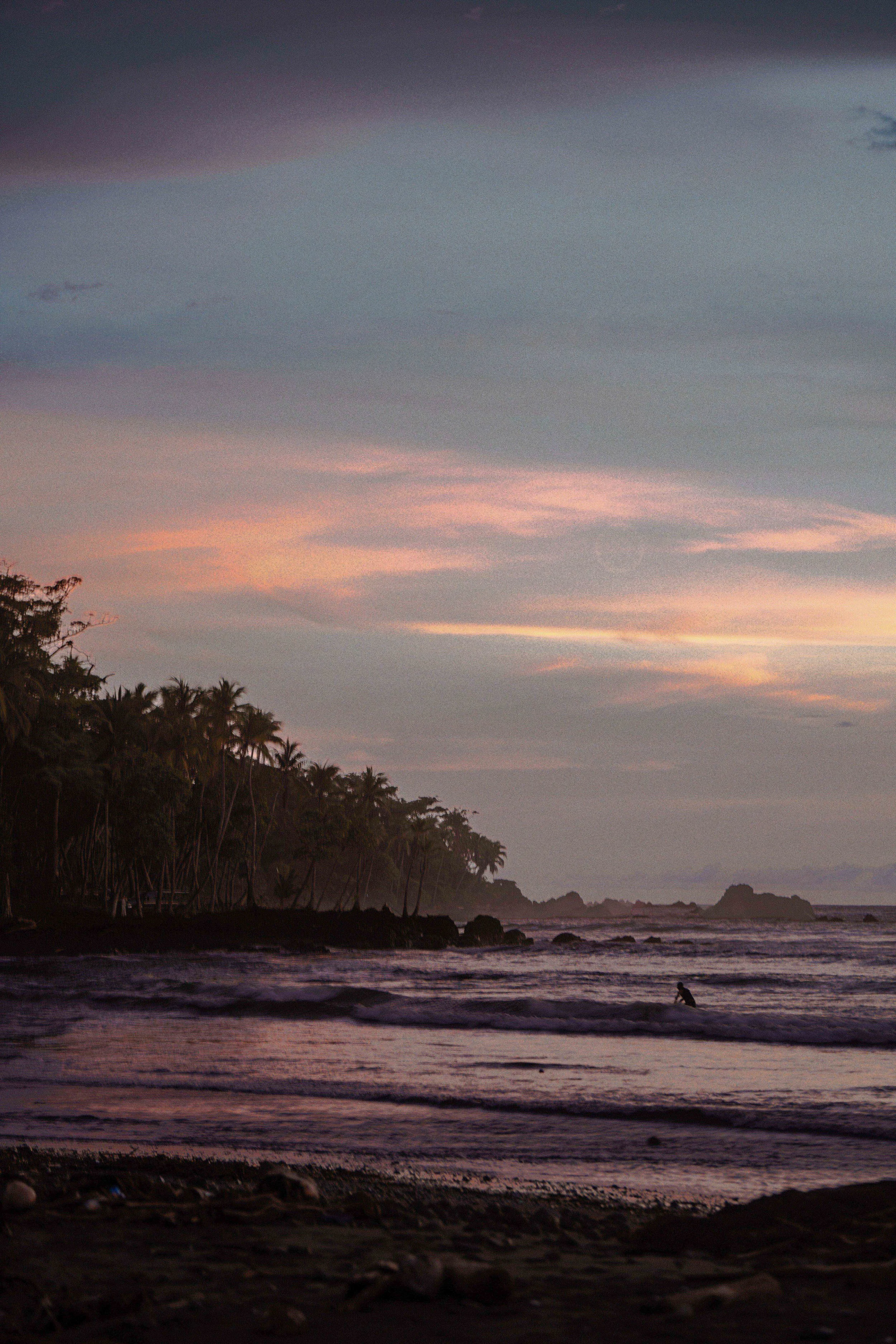 A beach at sunset with a person sitting near the shoreline, palm trees along the coast, and the sky showing pink and purple clouds.