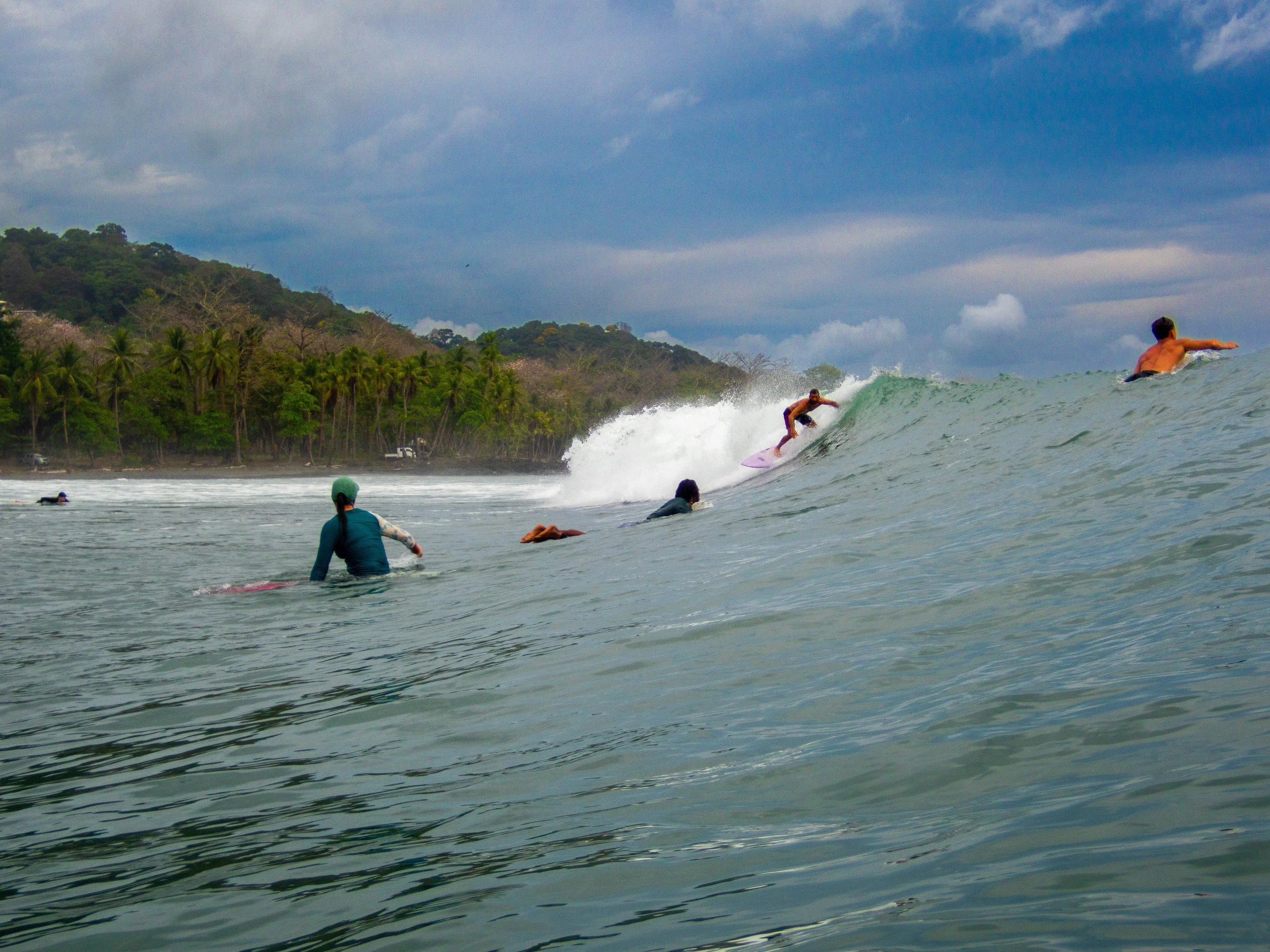 Surfers catching waves at a tropical beach with palm trees and hills in the background.