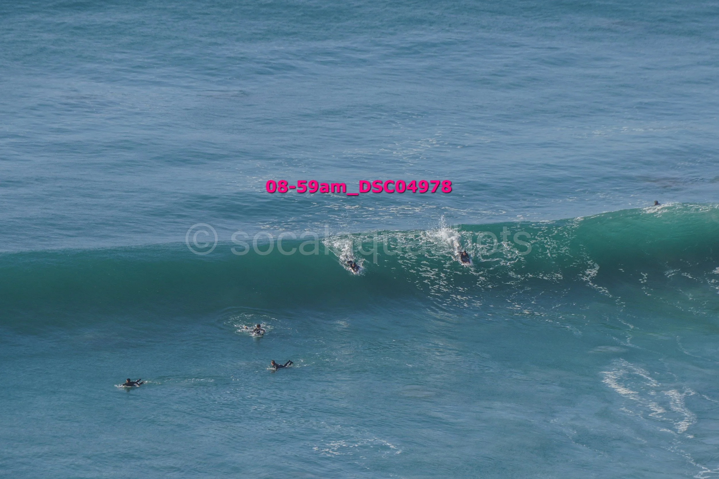 Multiple surfers in the ocean, some riding a wave and others paddling in calm water.